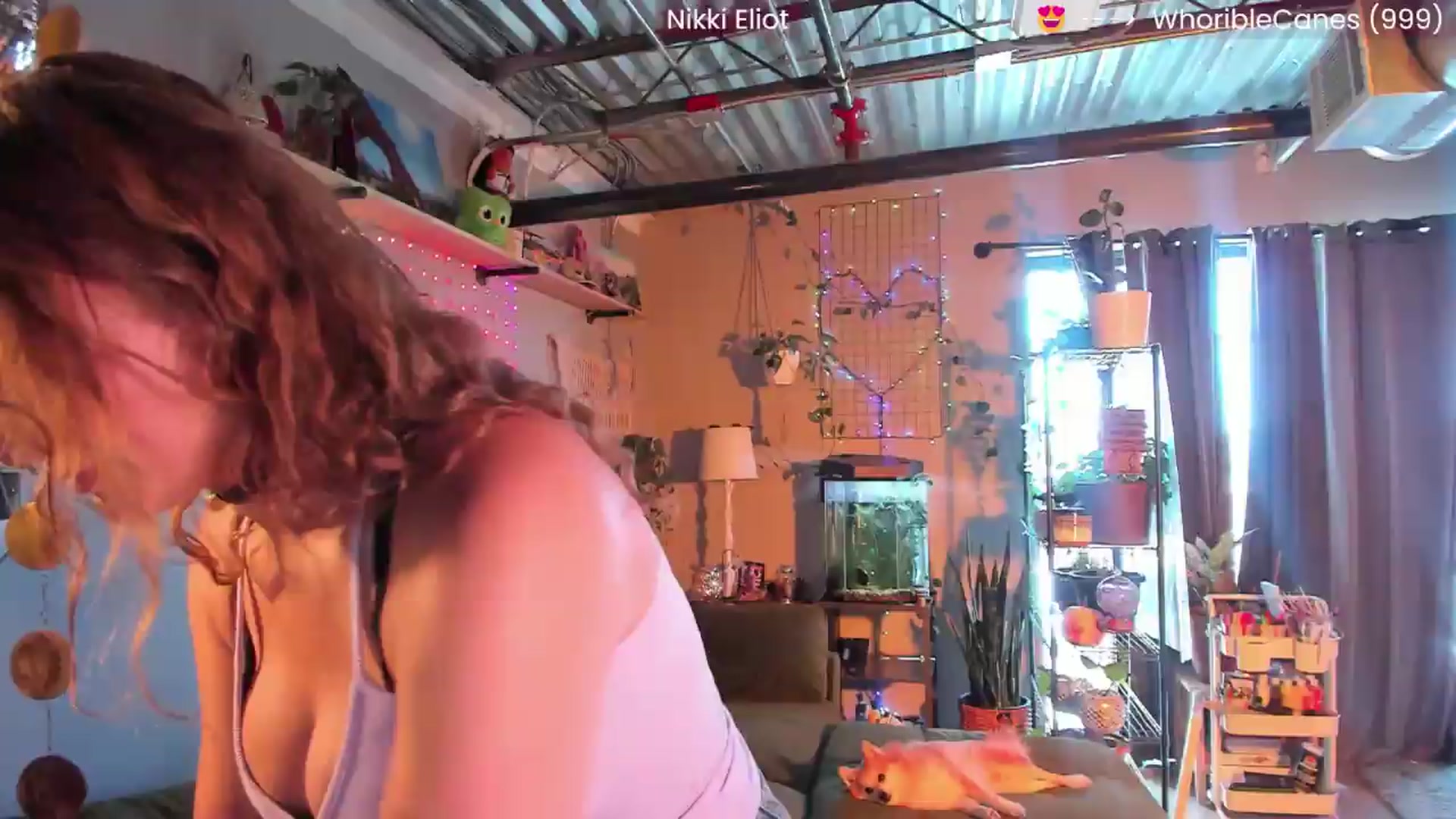 Gallery image thumbnail from NikkiEliot's myfreecams stream on, 08/01/2026, 24:04 image 7 of 20