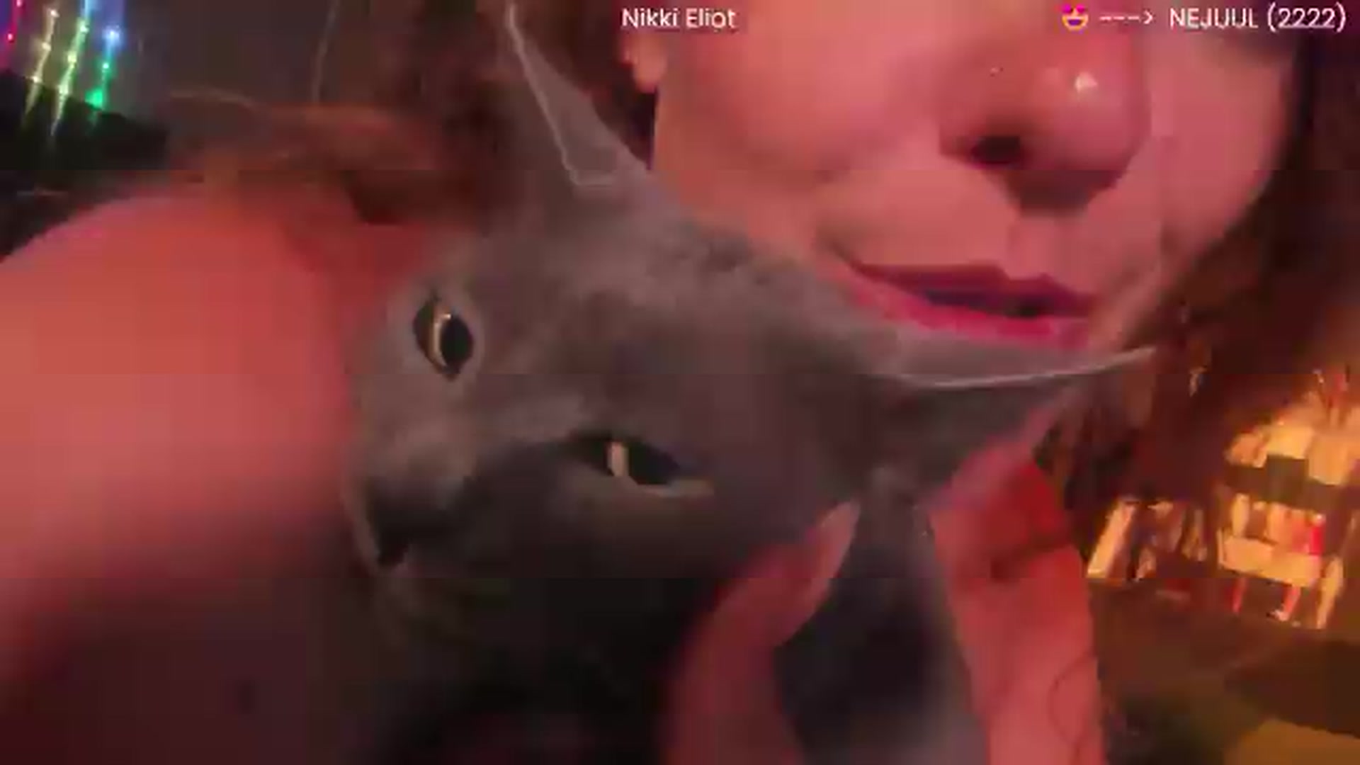 Gallery image thumbnail from NikkiEliot's myfreecams stream on, 08/01/2026, 06:10 image 20 of 20