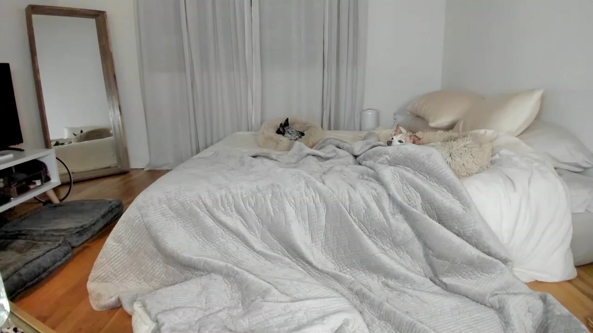 Gallery image thumbnail from NikkiFetish's myfreecams stream on, 12/10/2022, 01:06 image 7 of 20
