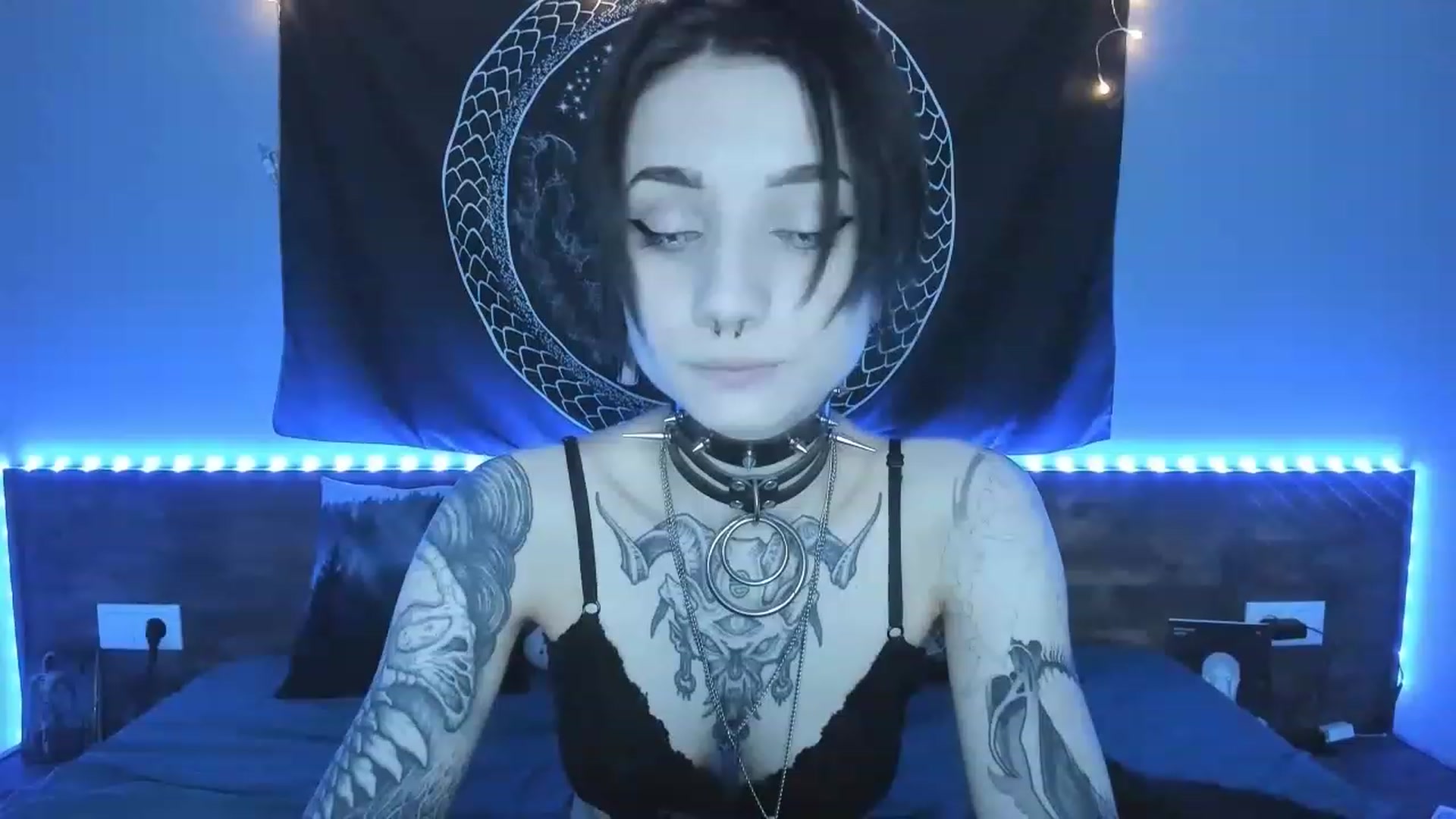 Gallery image thumbnail from Nikki_Carter's myfreecams stream on, 08/01/2023, 07:31 image 4 of 20
