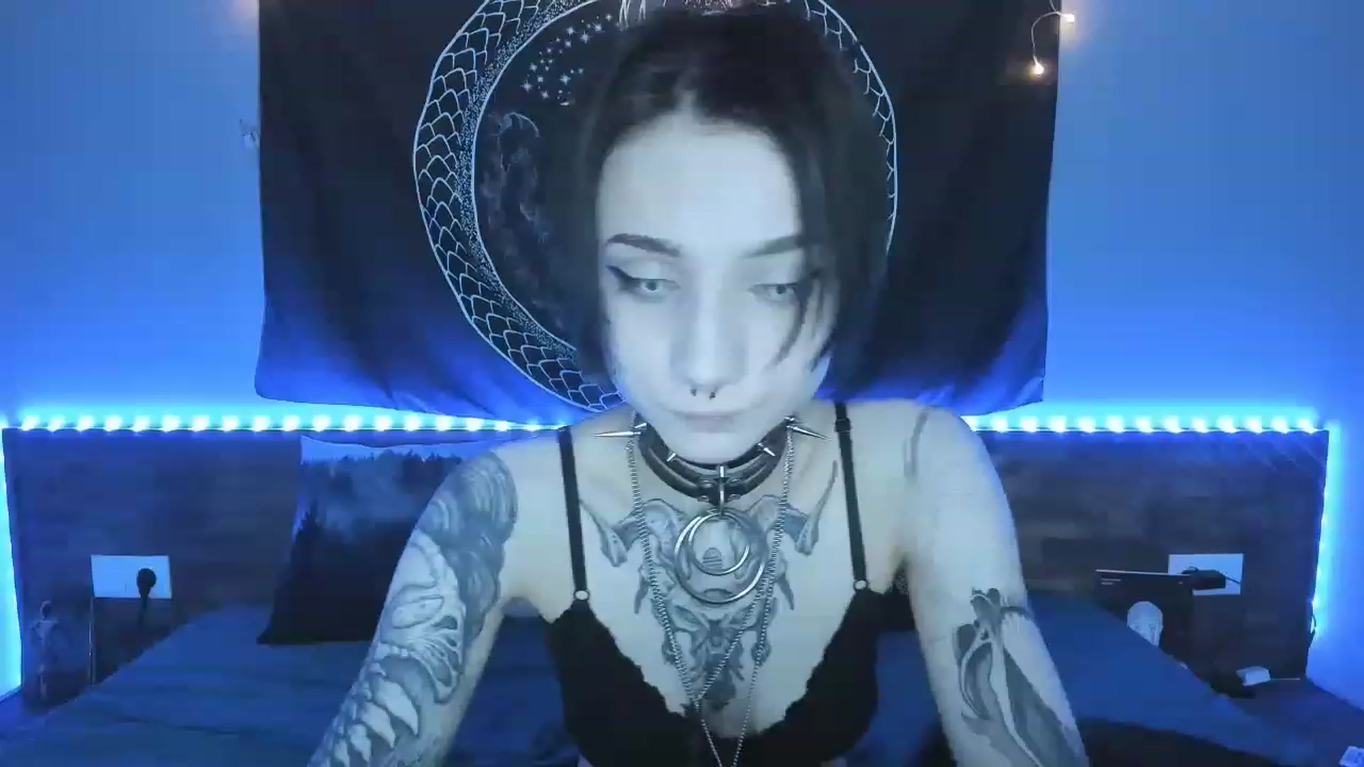 Gallery image thumbnail from Nikki_Carter's myfreecams stream on, 08/01/2023, 07:31 image 8 of 20