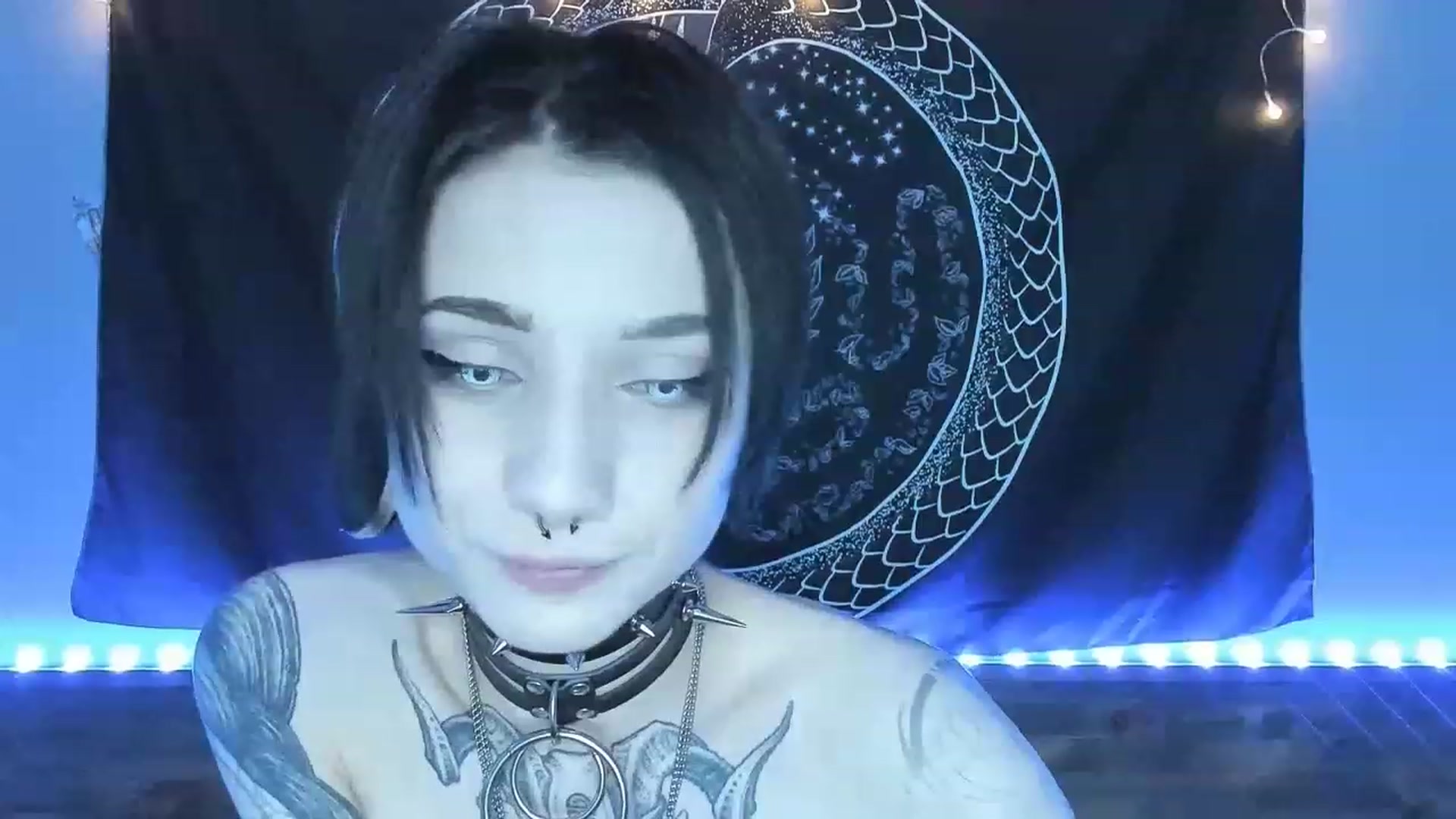 Gallery image thumbnail from Nikki_Carter's myfreecams stream on, 08/01/2023, 07:54 image 15 of 20