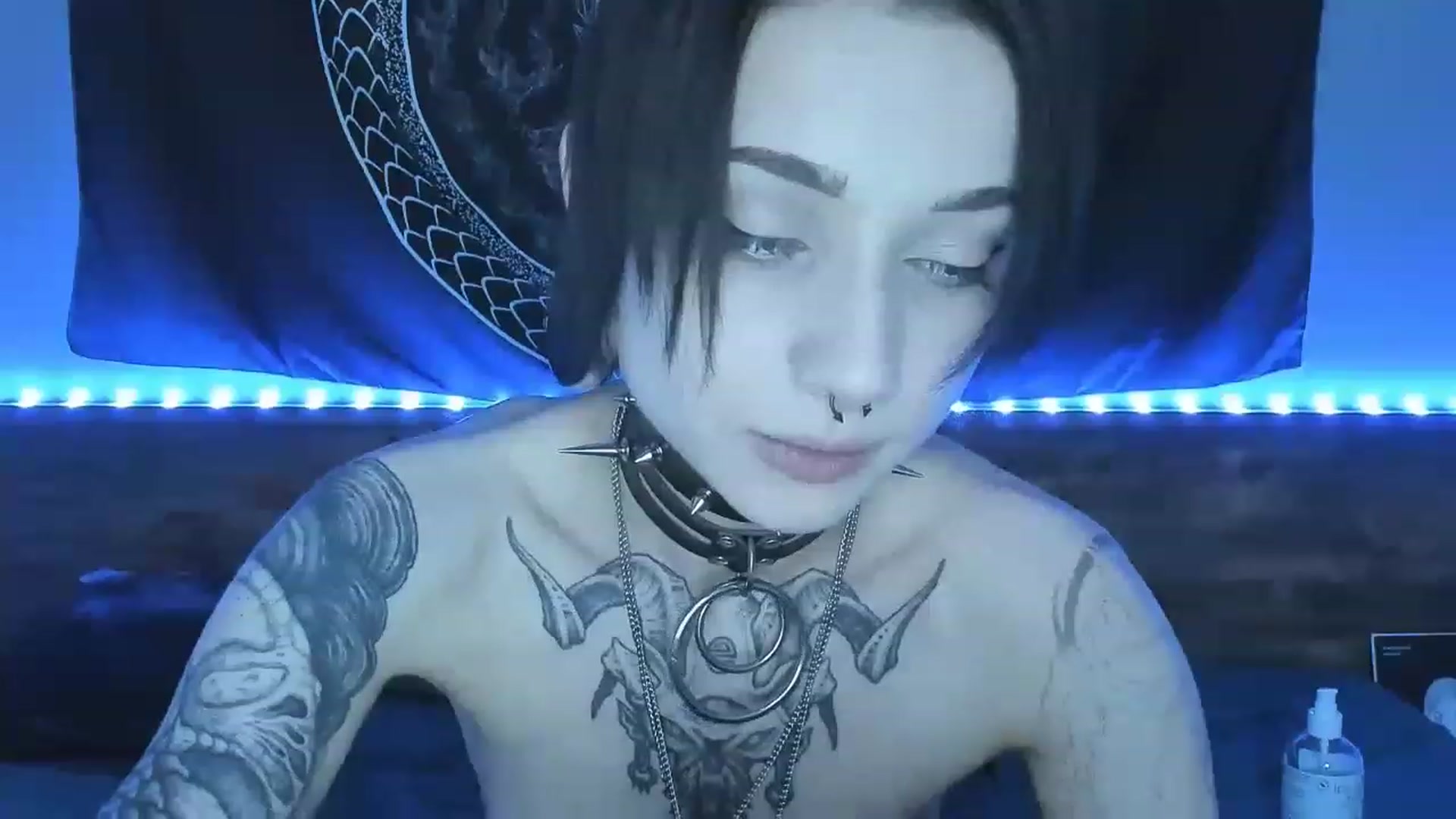 Gallery image thumbnail from Nikki_Carter's myfreecams stream on, 08/01/2023, 07:54 image 17 of 20