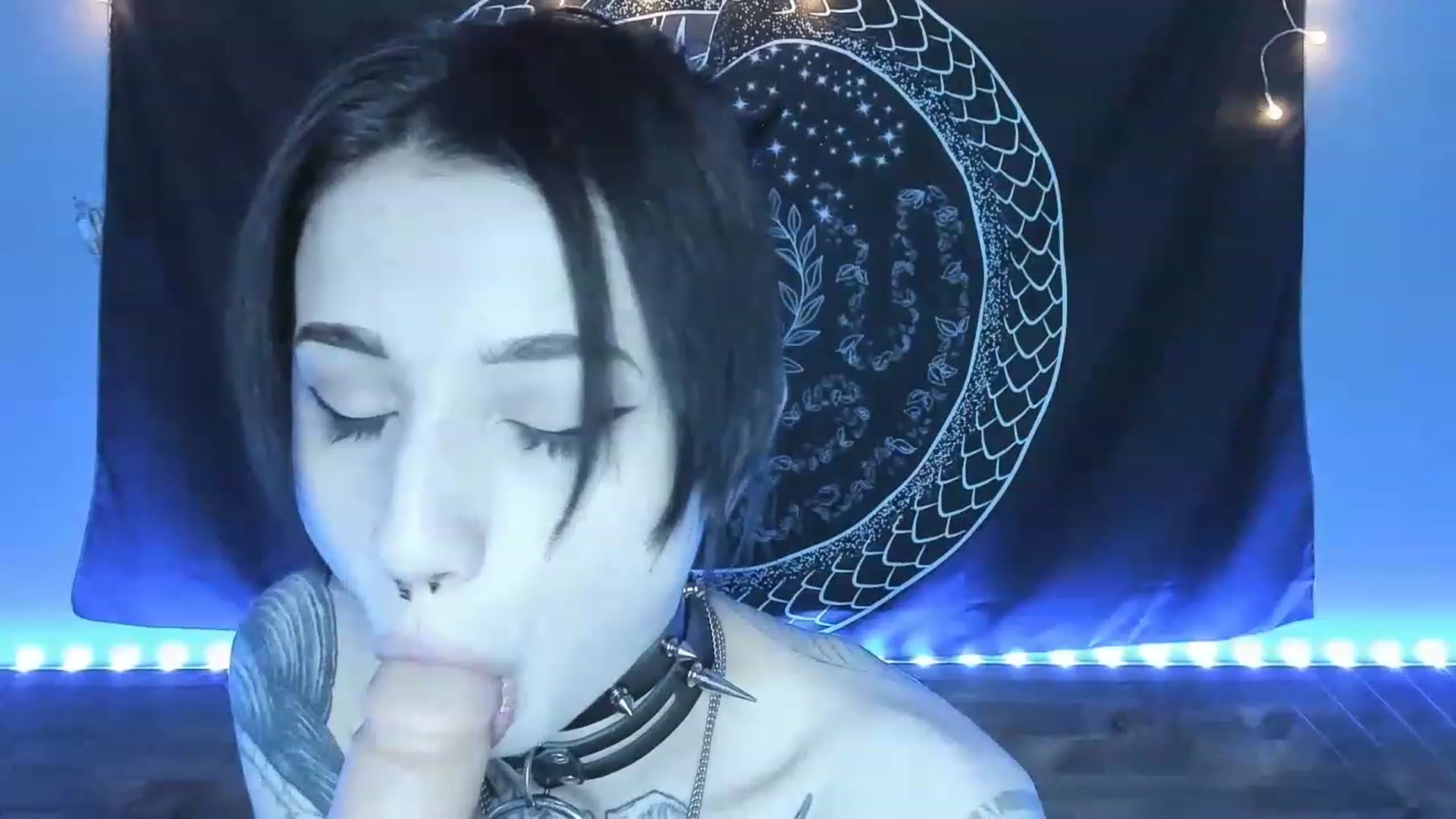 Gallery image thumbnail from Nikki_Carter's myfreecams stream on, 08/01/2023, 07:54 image 14 of 20