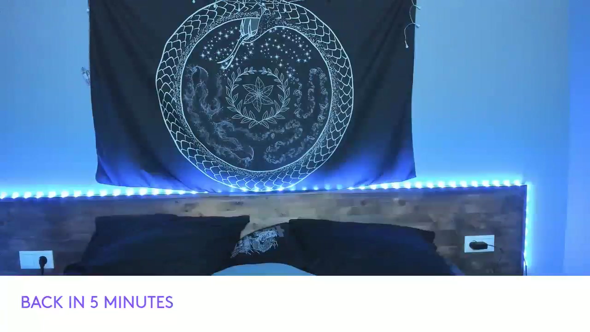 Gallery image thumbnail from Nikki_Carter's myfreecams stream on, 08/17/2023, 08:56 image 11 of 20