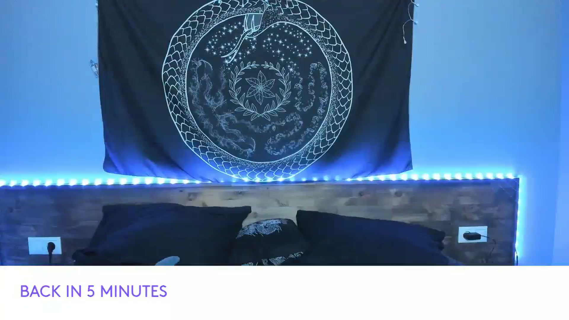Gallery image thumbnail from Nikki_Carter's myfreecams stream on, 08/17/2023, 09:53 image 14 of 20
