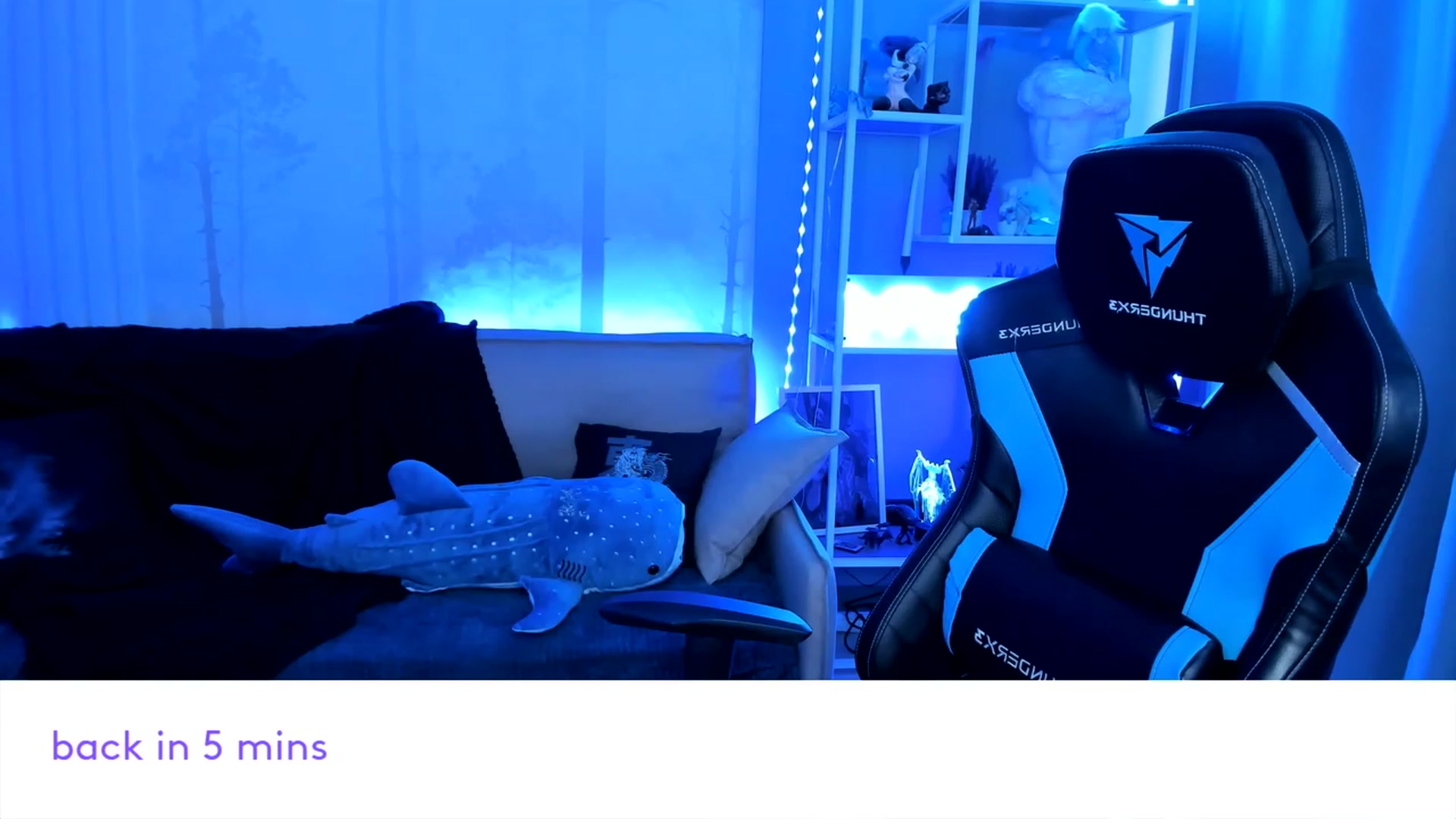 Gallery image thumbnail from Nikki_Carter's myfreecams stream on, 01/12/2024, 10:40 image 1 of 20