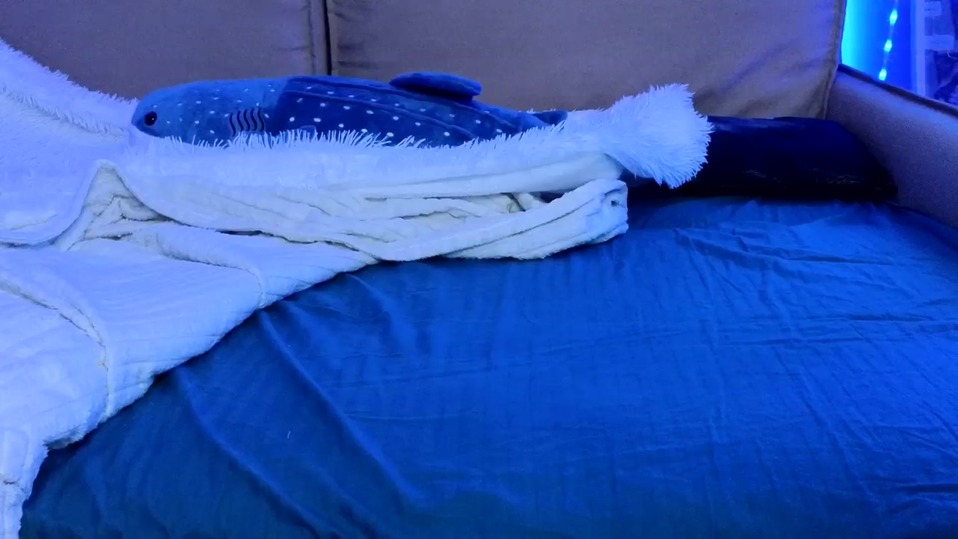 Gallery image thumbnail from Nikki_Carter's myfreecams stream on, 03/12/2024, 06:57 image 13 of 20