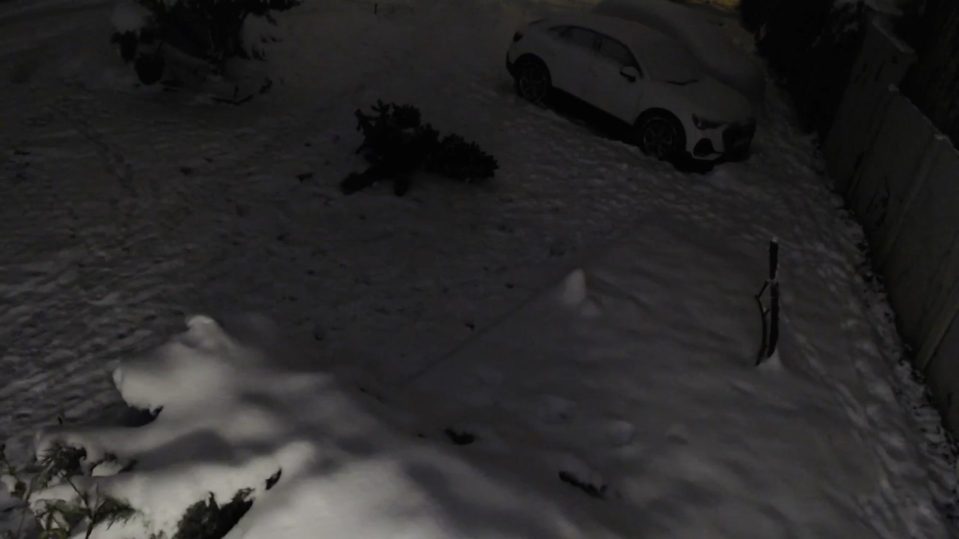 Gallery image thumbnail from Nikki_Crystal's myfreecams stream on, 01/10/2026, 24:44 image 12 of 20