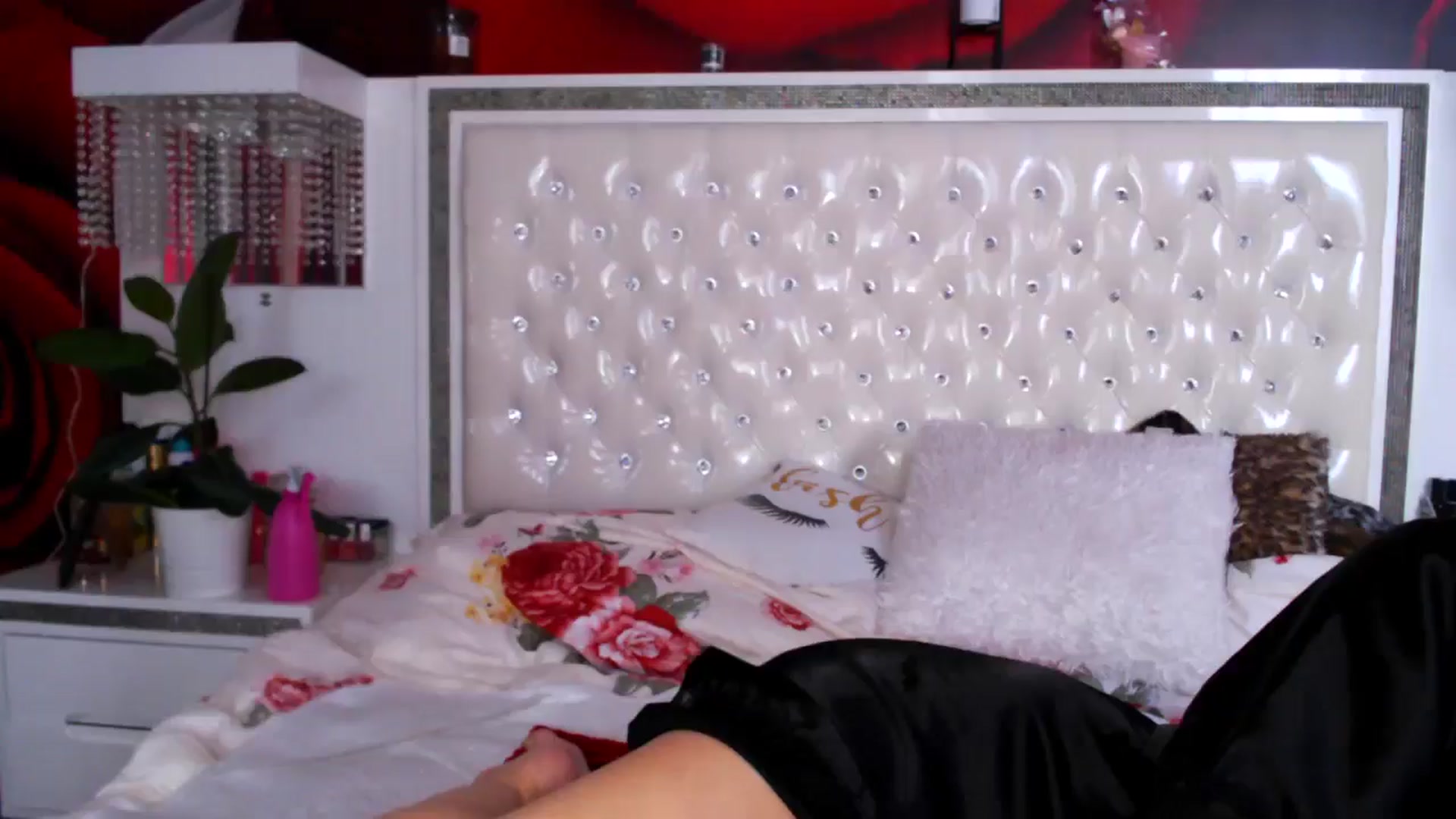 Gallery image thumbnail from NikkyCZ's myfreecams stream on, 02/26/2025, 13:37 image 10 of 20