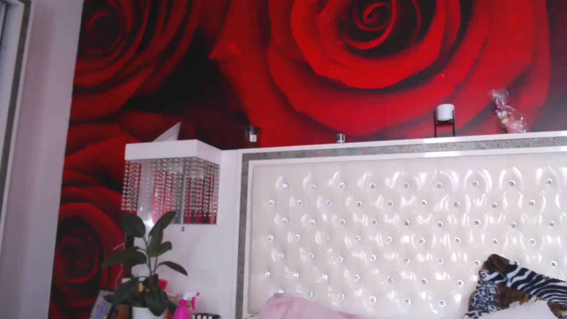 Gallery image thumbnail from NikkyCZ's myfreecams stream on, 04/09/2025, 15:09 image 4 of 20