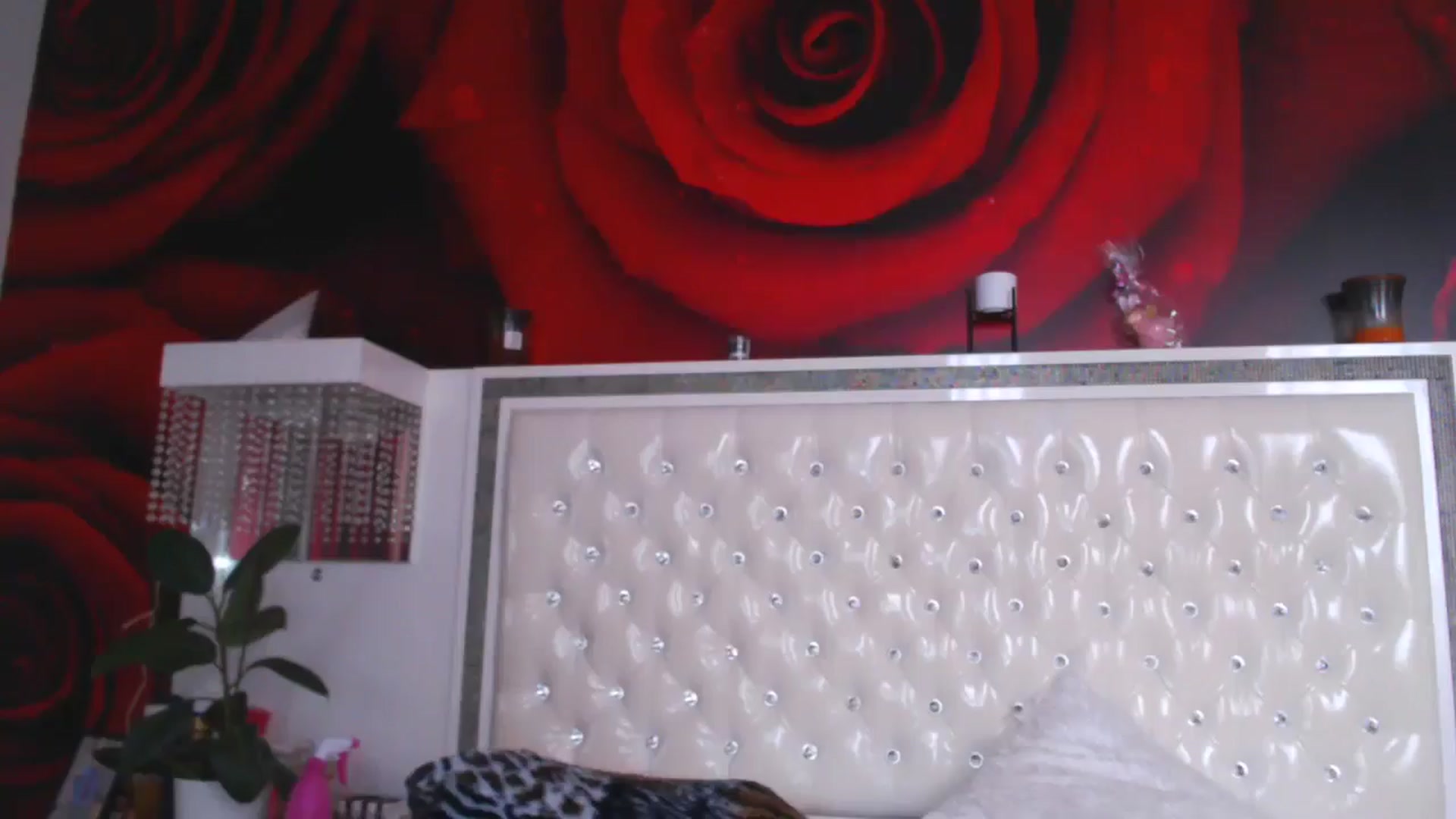 Gallery image thumbnail from NikkyCZ's myfreecams stream on, 04/10/2025, 12:13 image 20 of 20