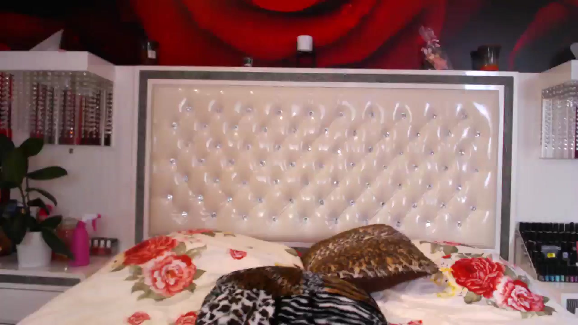 Gallery image thumbnail from NikkyCZ's myfreecams stream on, 05/26/2025, 15:44 image 6 of 20
