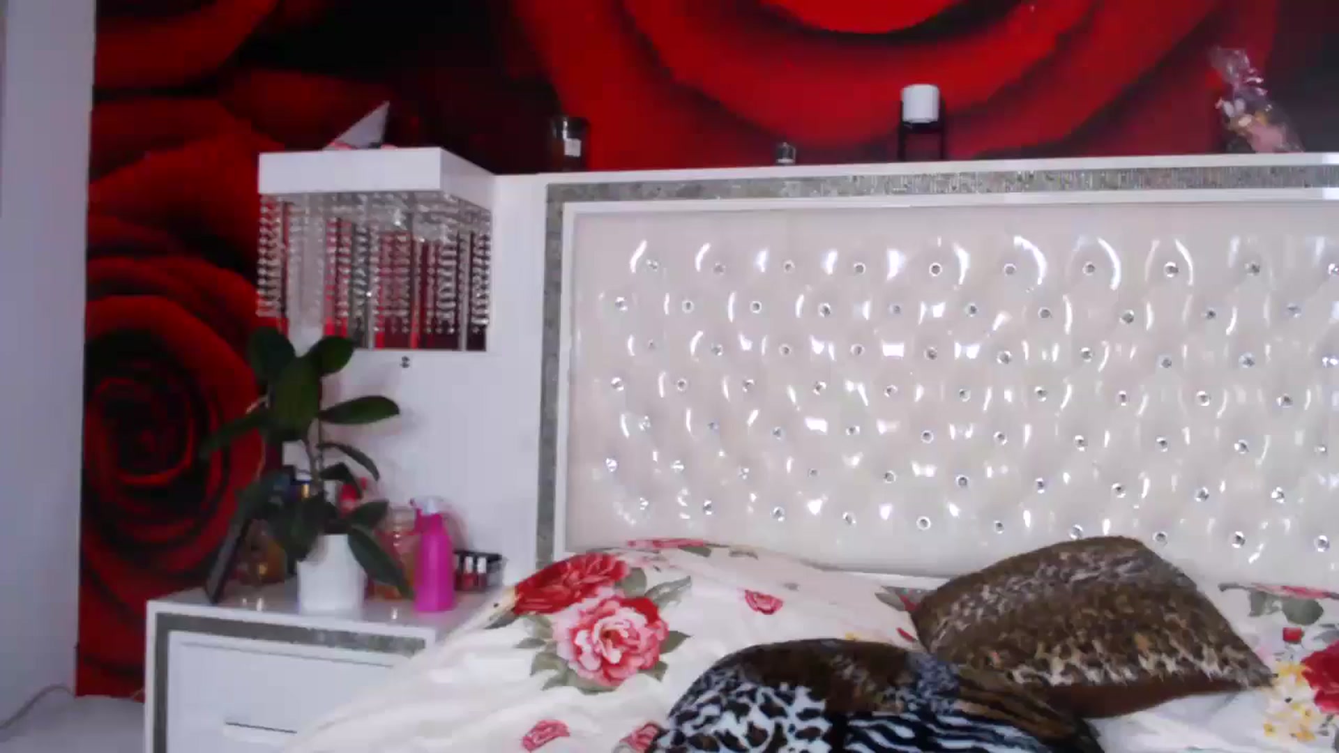 Gallery image thumbnail from NikkyCZ's myfreecams stream on, 05/27/2025, 15:37 image 16 of 20