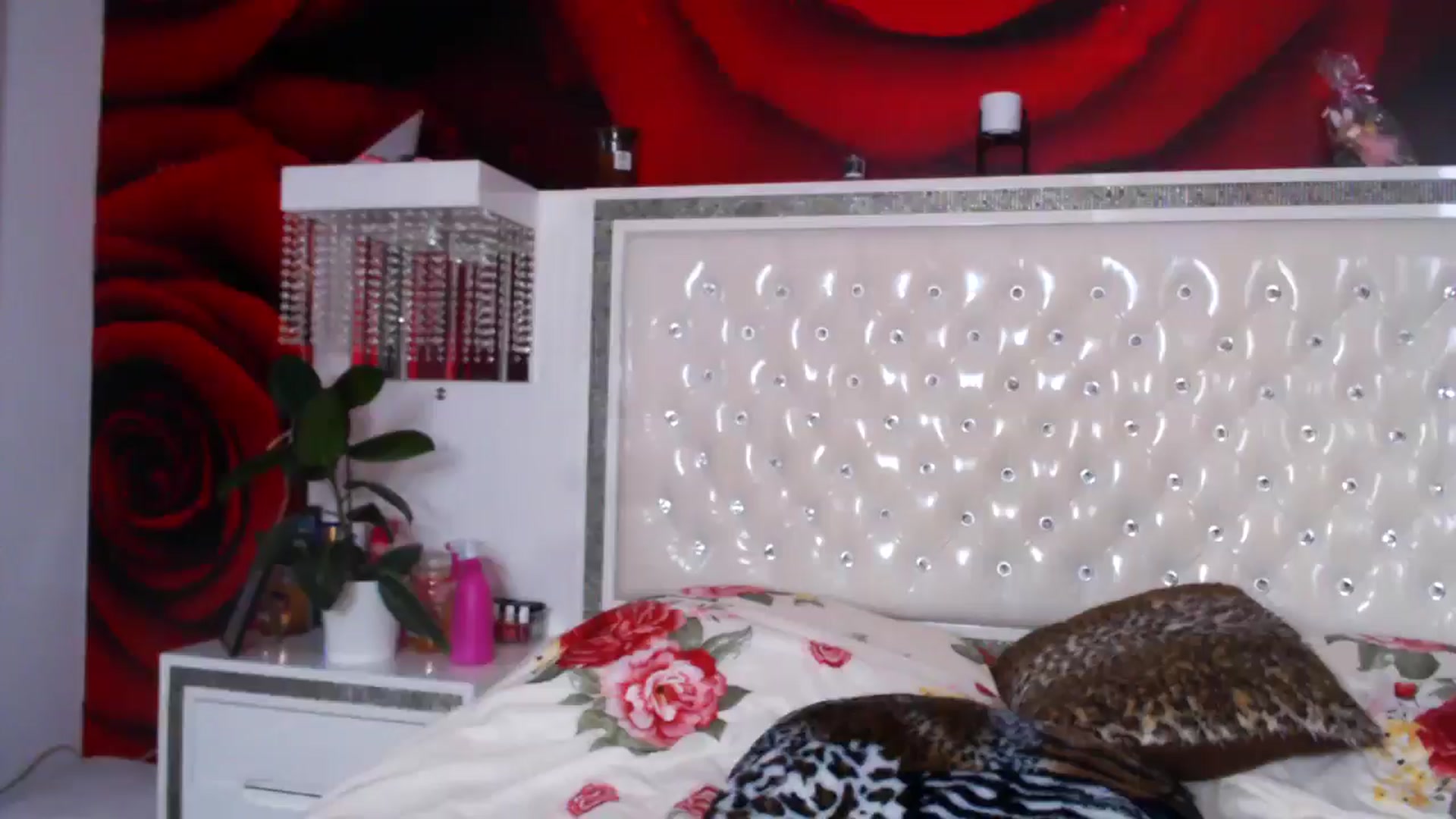 Gallery image thumbnail from NikkyCZ's myfreecams stream on, 05/27/2025, 15:37 image 18 of 20