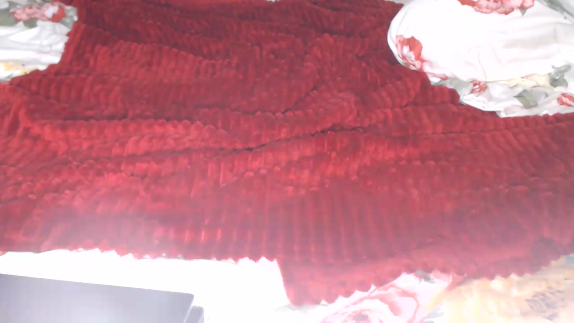 Gallery image thumbnail from NikkyCZ's myfreecams stream on, 09/02/2026, 14:41 image 2 of 20