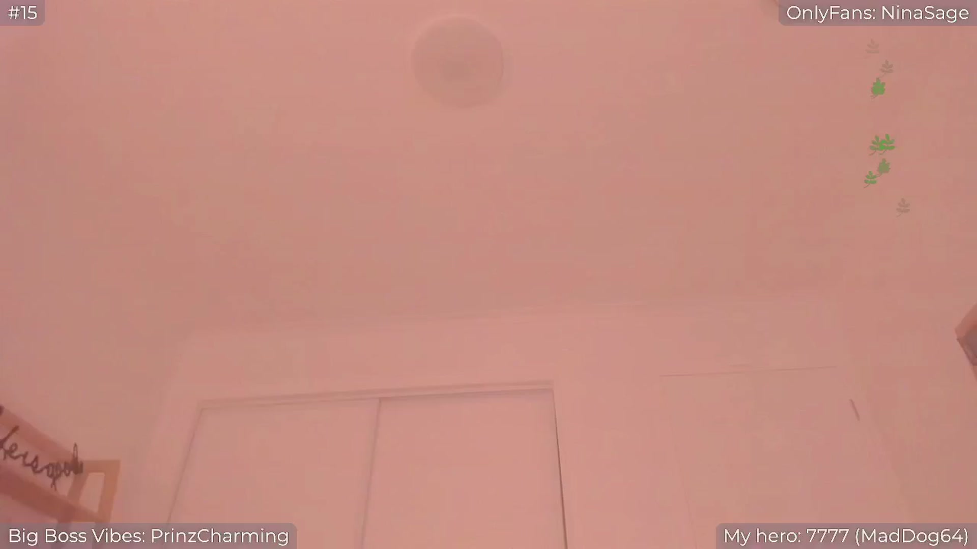 Gallery image thumbnail from NinaSage's myfreecams stream on, 02/09/2025, 05:15 image 15 of 20
