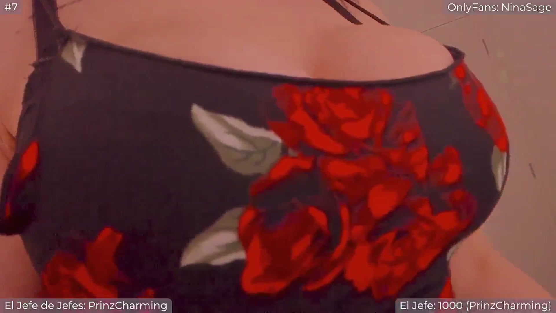 Gallery image thumbnail from NinaSage's myfreecams stream on, 04/13/2025, 01:14 image 6 of 20