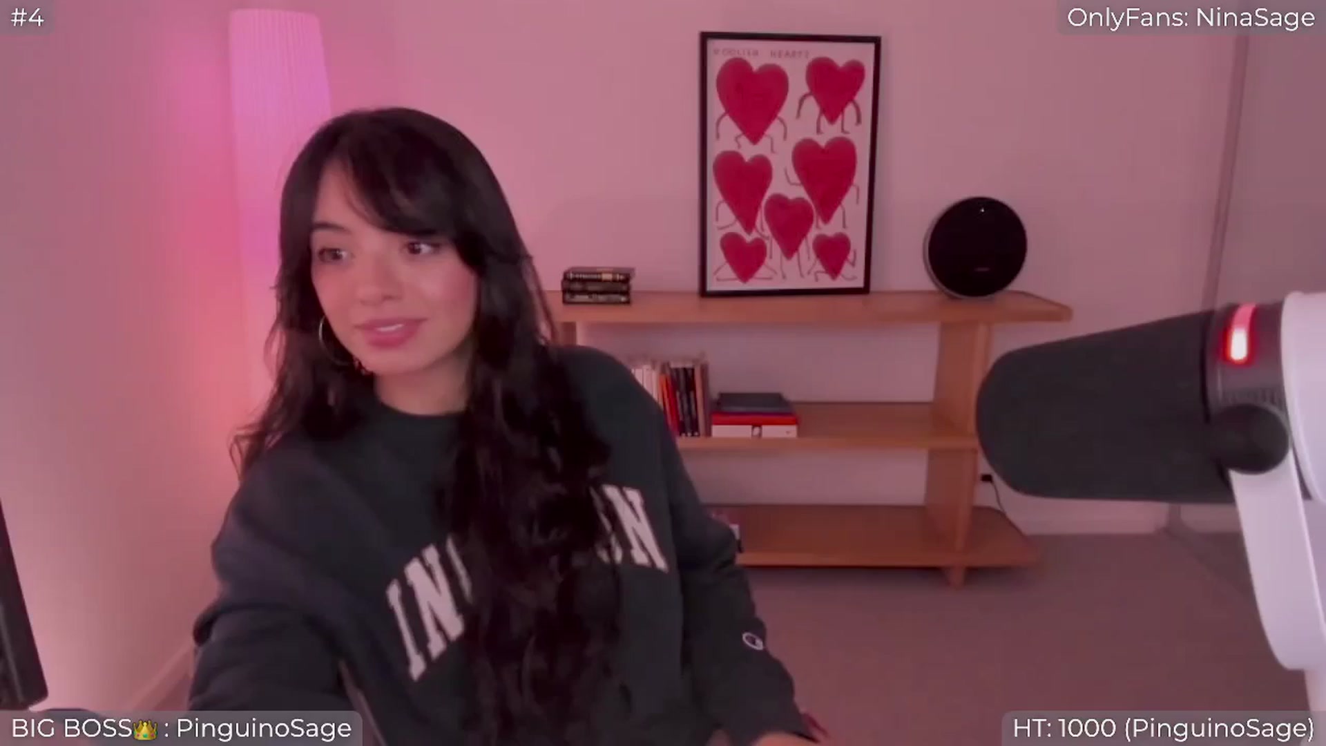 Gallery image thumbnail from NinaSage's myfreecams stream on, 04/14/2026, 22:35 image 14 of 20