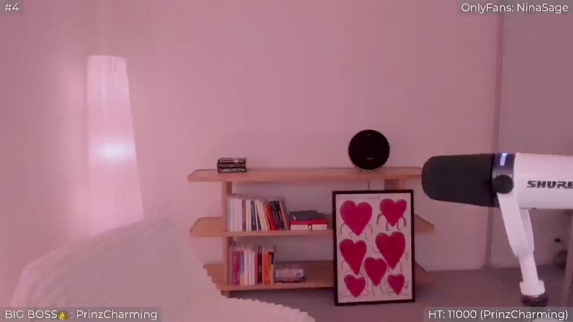 Gallery image thumbnail from NinaSage's myfreecams stream on, 04/25/2026, 03:14 image 16 of 20
