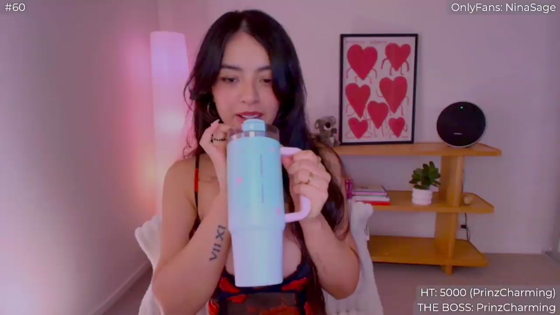 Gallery image thumbnail from NinaSage's myfreecams stream on, 08/06/2026, 24:02 image 9 of 20