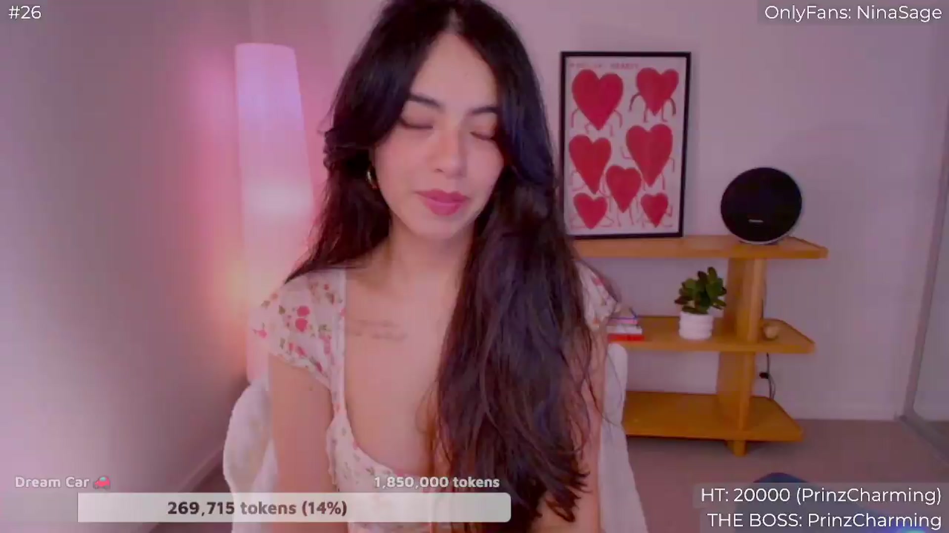 Gallery image thumbnail from NinaSage's myfreecams stream on, 08/07/2026, 24:01 image 6 of 20