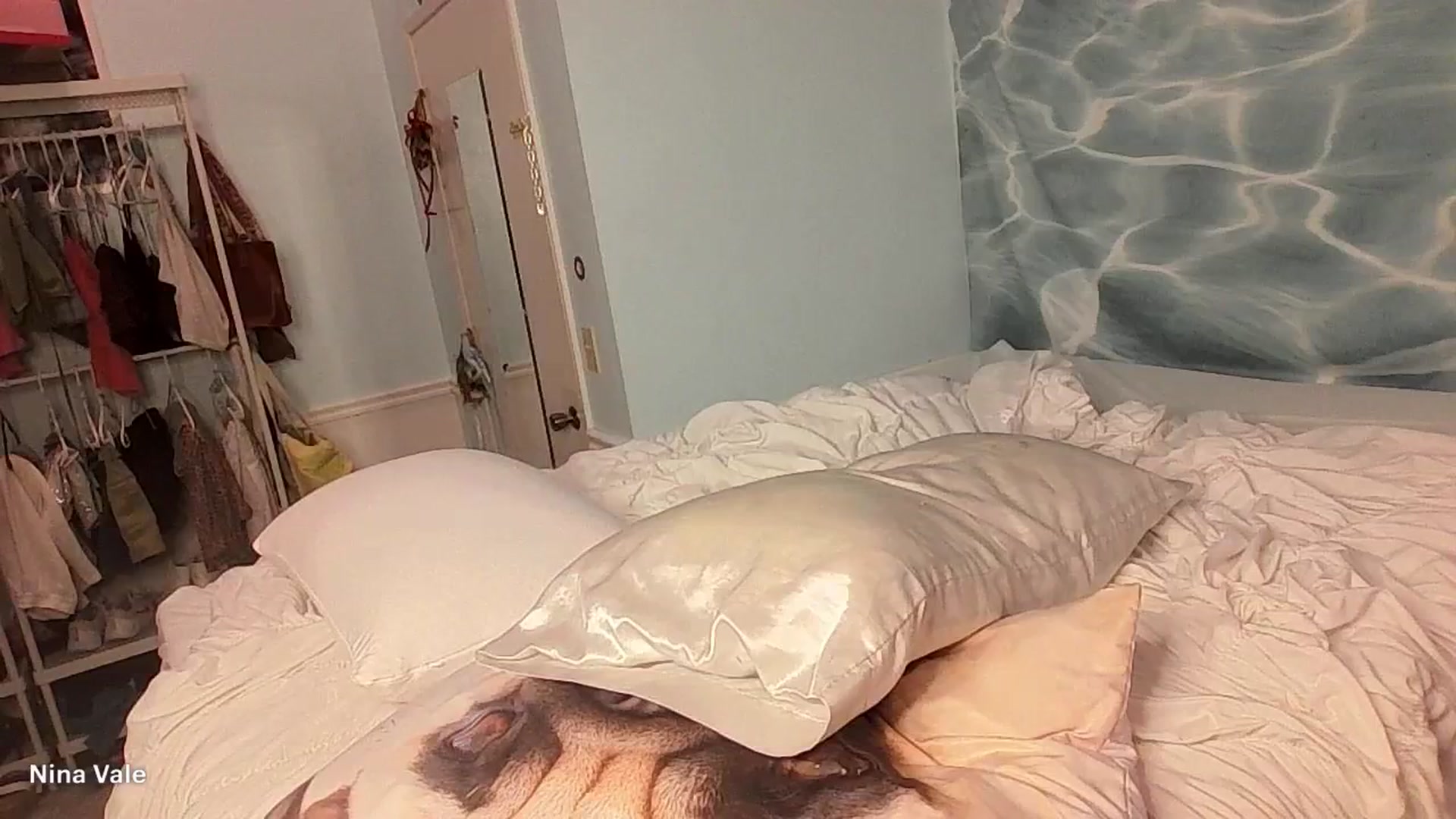 Gallery image thumbnail from Nina_Vale's myfreecams stream on, 01/28/2026, 07:35 image 6 of 20