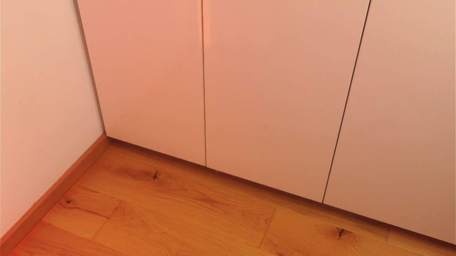 Gallery image thumbnail from Nina_yv's myfreecams stream on, 12/28/2024, 15:58 image 20 of 20
