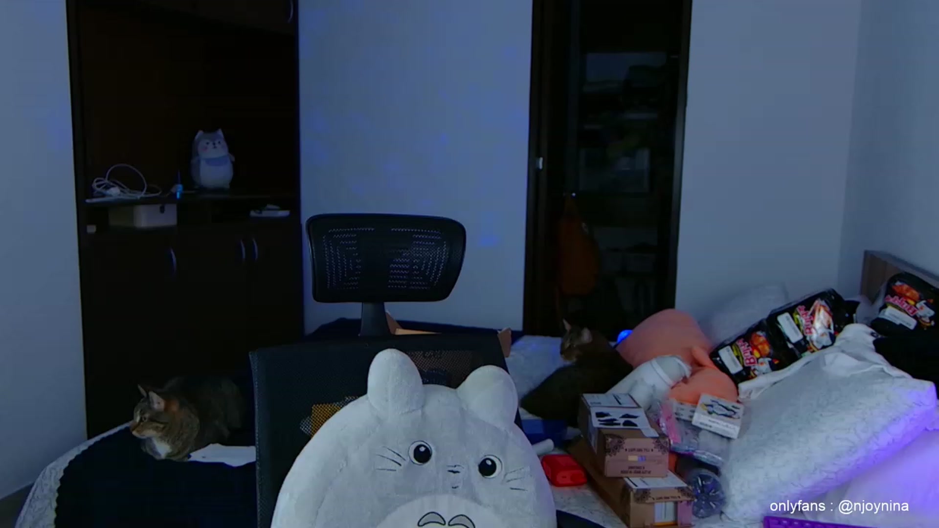 Gallery image thumbnail from Ninajoyy's myfreecams stream on, 11/02/2023, 24:34 image 6 of 20