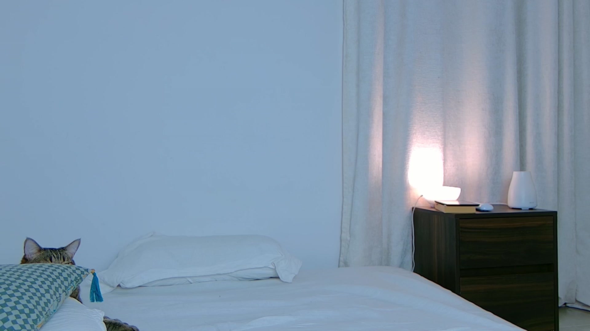 Gallery image thumbnail from Ninajoyy's myfreecams stream on, 06/21/2025, 03:00 image 15 of 20
