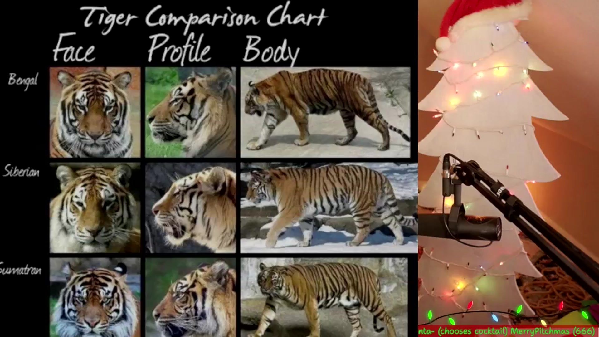 Gallery image thumbnail from NoRefunds's myfreecams stream on, 12/10/2024, 04:38 image 17 of 20