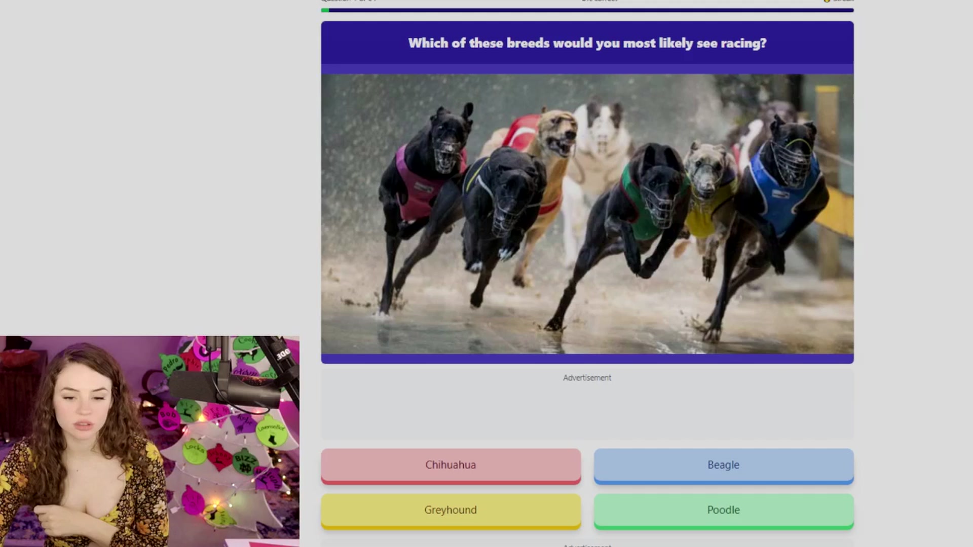 Gallery image thumbnail from NoRefunds's myfreecams stream on, 12/16/2024, 08:18 image 18 of 20