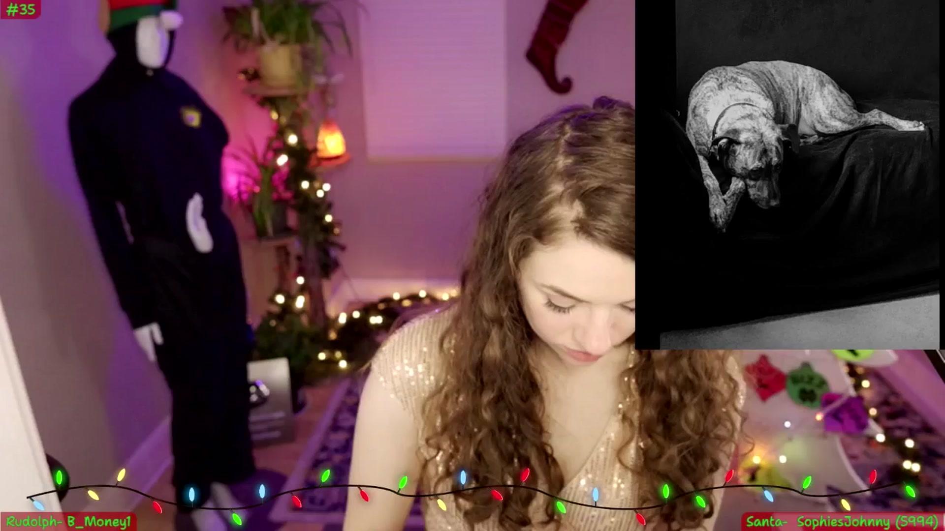 Gallery image thumbnail from NoRefunds's myfreecams stream on, 12/16/2024, 08:18 image 15 of 20