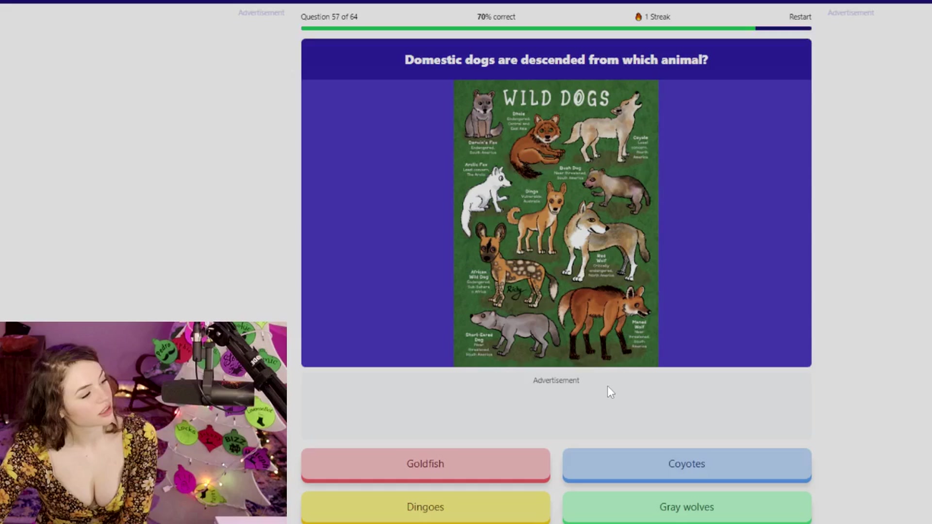 Gallery image thumbnail from NoRefunds's myfreecams stream on, 12/16/2024, 09:41 image 5 of 20