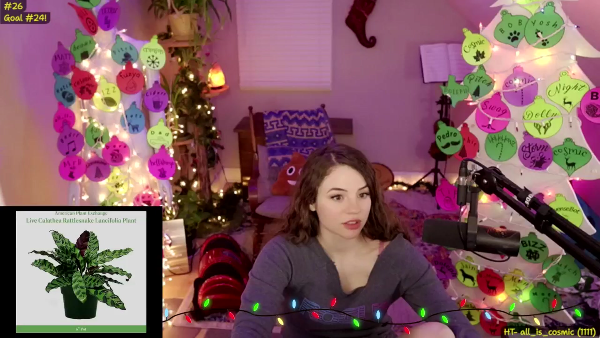 Gallery image thumbnail from NoRefunds's myfreecams stream on, 12/29/2024, 11:05 image 16 of 20