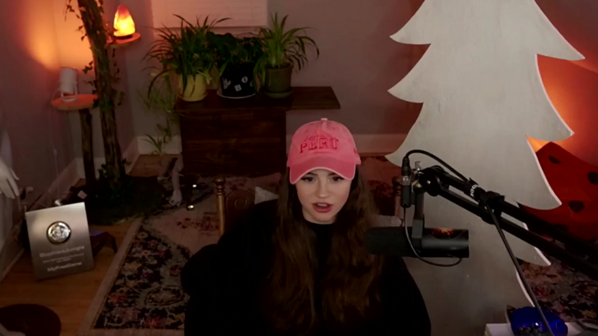 Gallery image thumbnail from NoRefunds's myfreecams stream on, 01/28/2025, 03:37 image 10 of 20