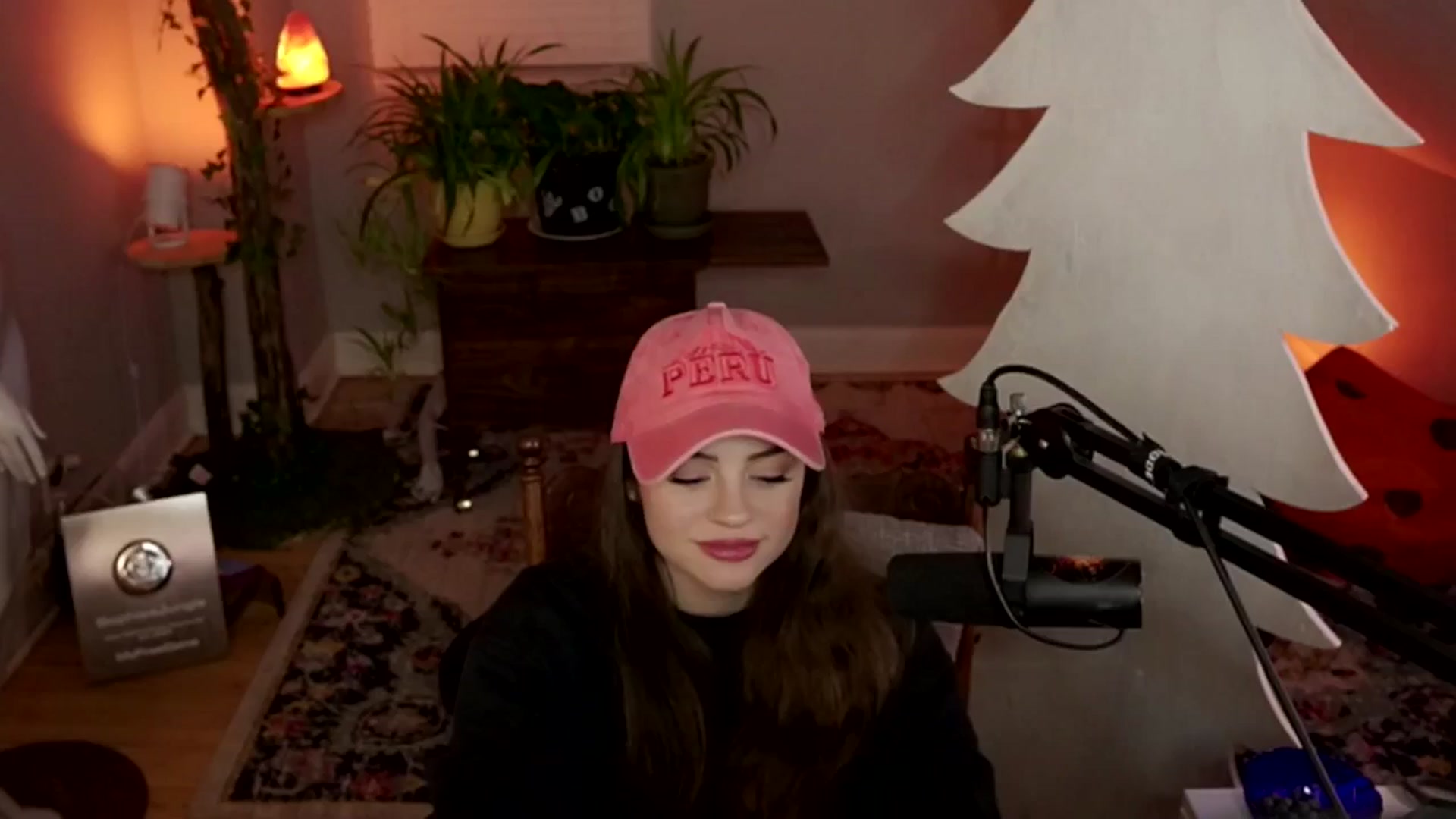 Gallery image thumbnail from NoRefunds's myfreecams stream on, 01/28/2025, 03:37 image 14 of 20