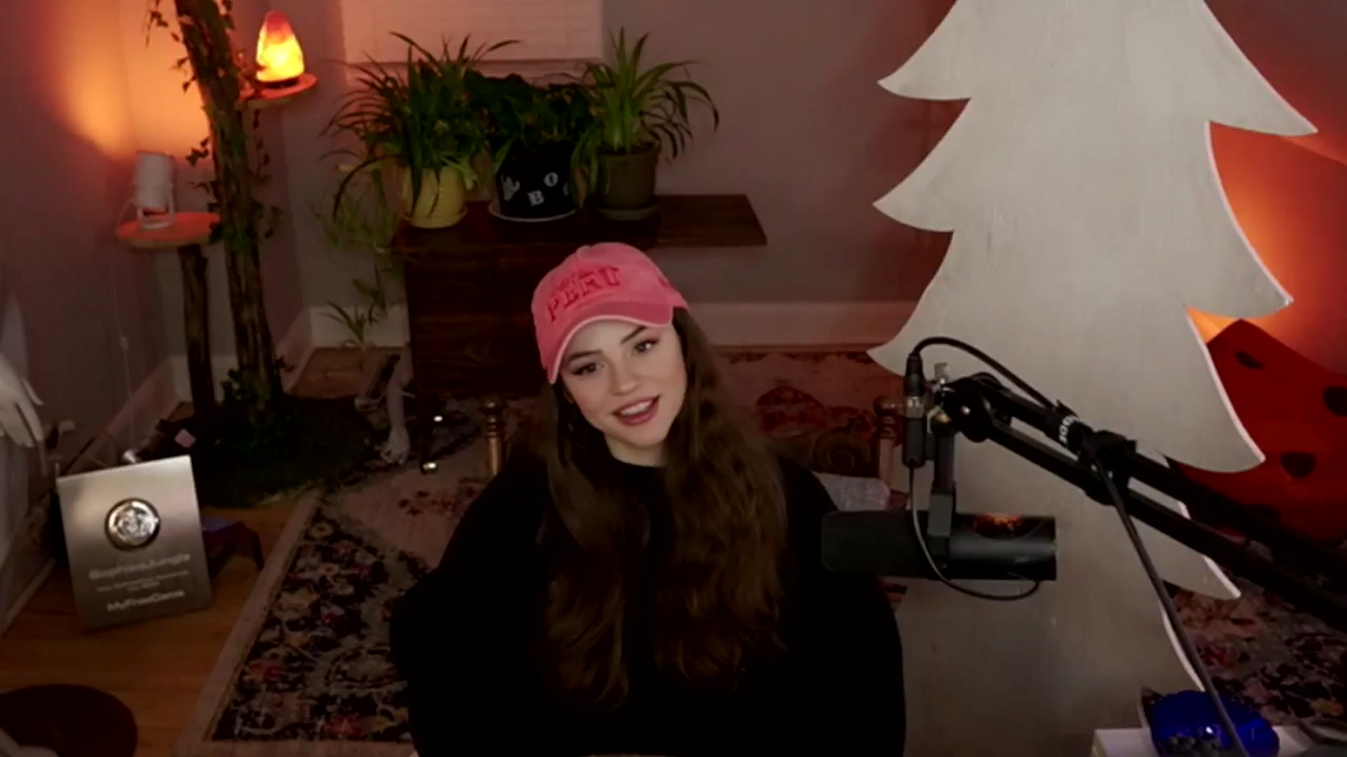 Gallery image thumbnail from NoRefunds's myfreecams stream on, 01/28/2025, 03:37 image 2 of 20