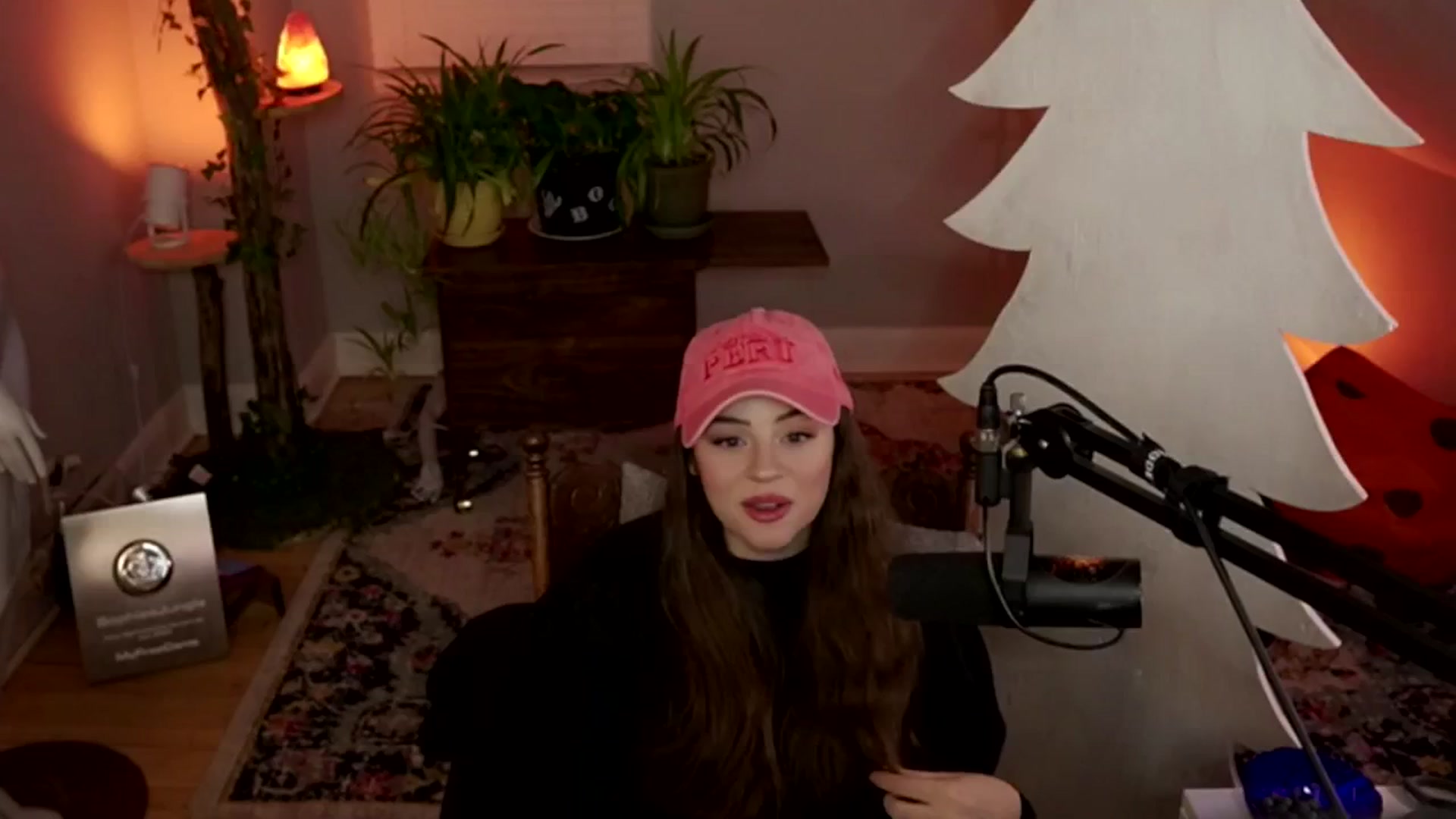 Gallery image thumbnail from NoRefunds's myfreecams stream on, 01/28/2025, 03:37 image 18 of 20