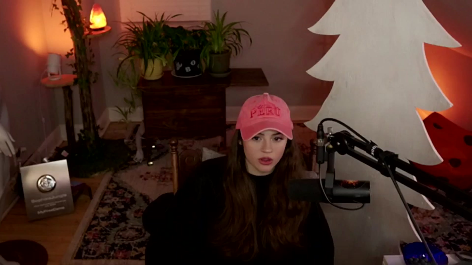 Gallery image thumbnail from NoRefunds's myfreecams stream on, 01/28/2025, 03:37 image 13 of 20