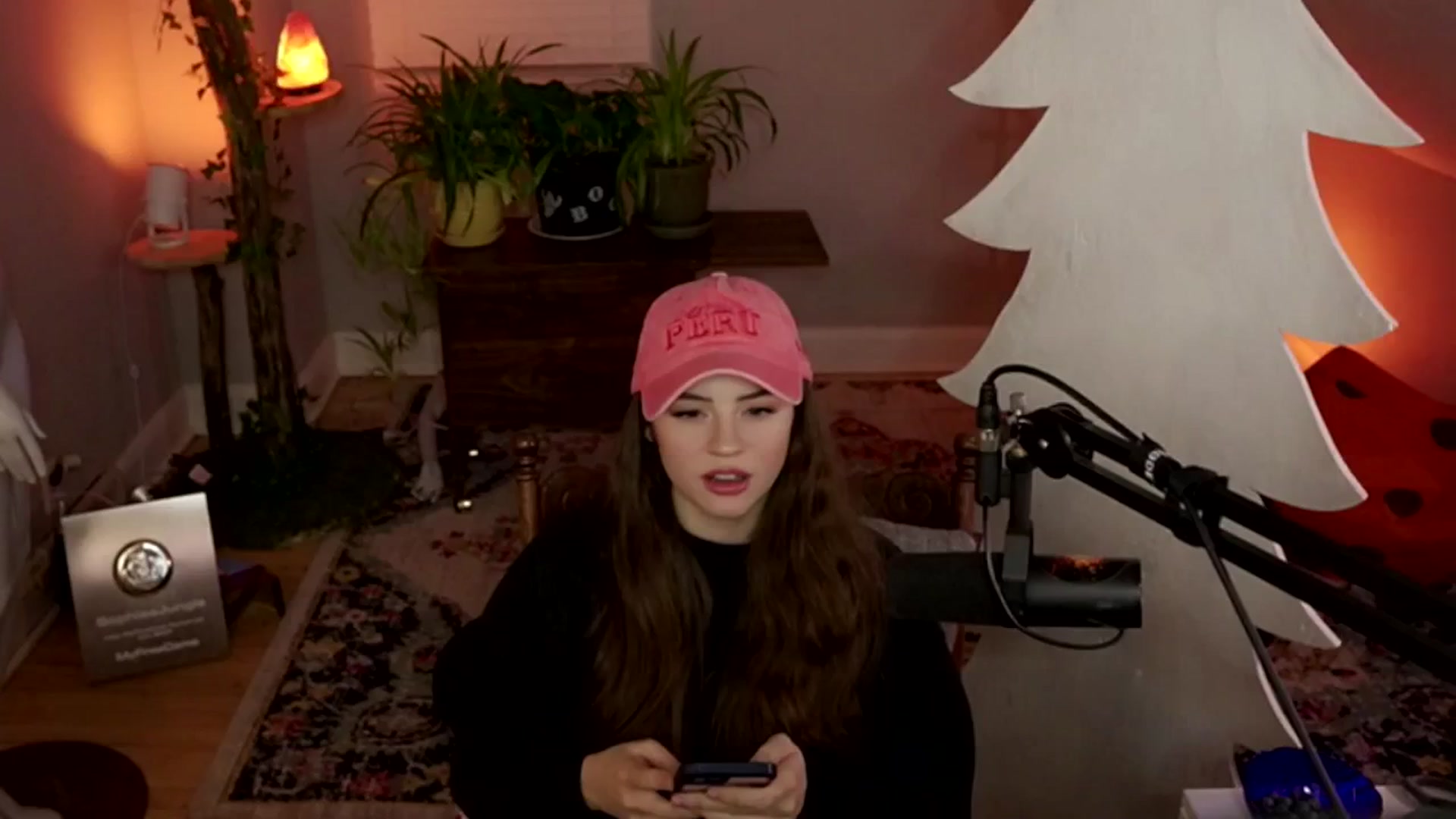 Gallery image thumbnail from NoRefunds's myfreecams stream on, 01/28/2025, 03:37 image 4 of 20