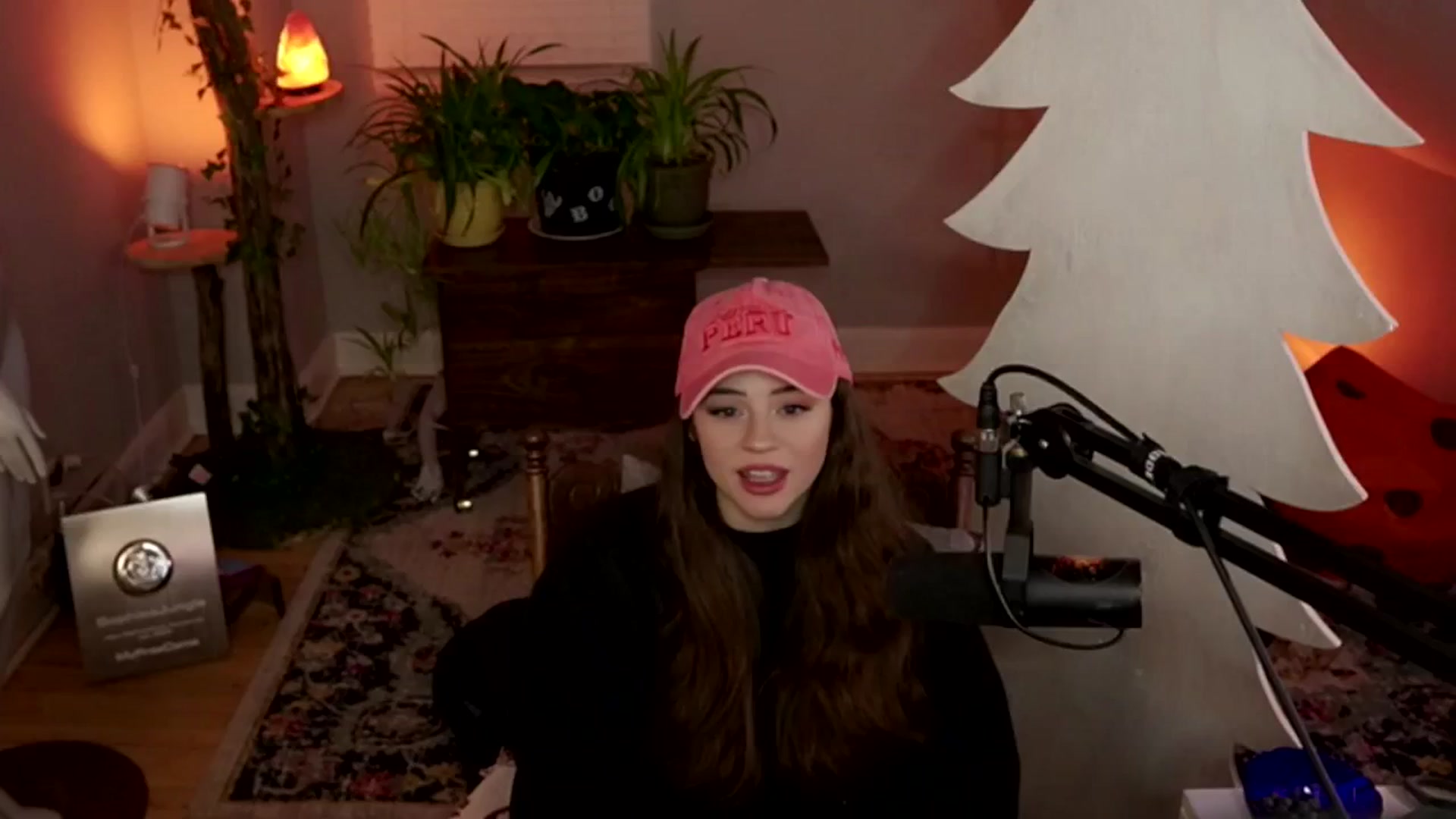 Gallery image thumbnail from NoRefunds's myfreecams stream on, 01/28/2025, 03:37 image 7 of 20