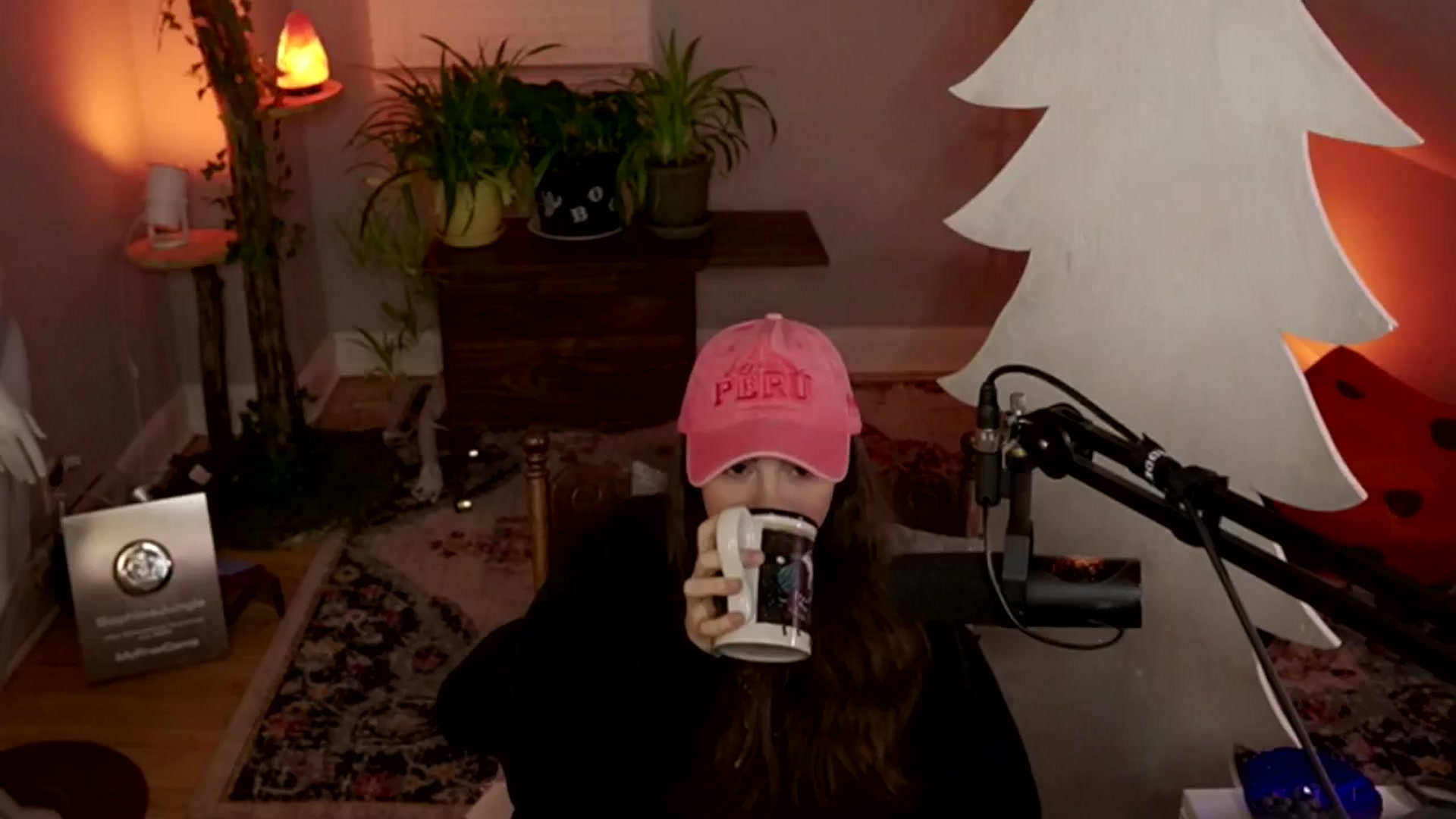 Gallery image thumbnail from NoRefunds's myfreecams stream on, 01/28/2025, 03:37 image 20 of 20
