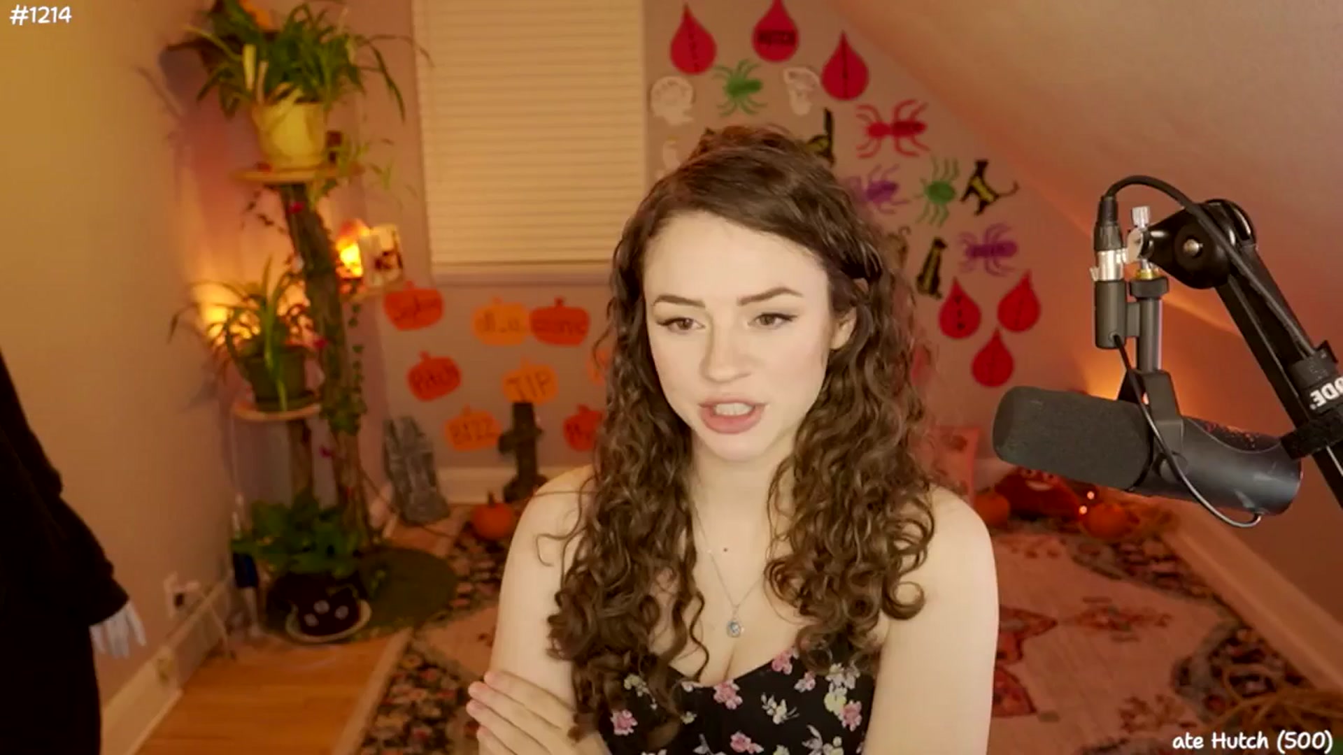 Gallery image thumbnail from NoSophNovembr's myfreecams stream on, 11/12/2024, 05:00 image 13 of 20