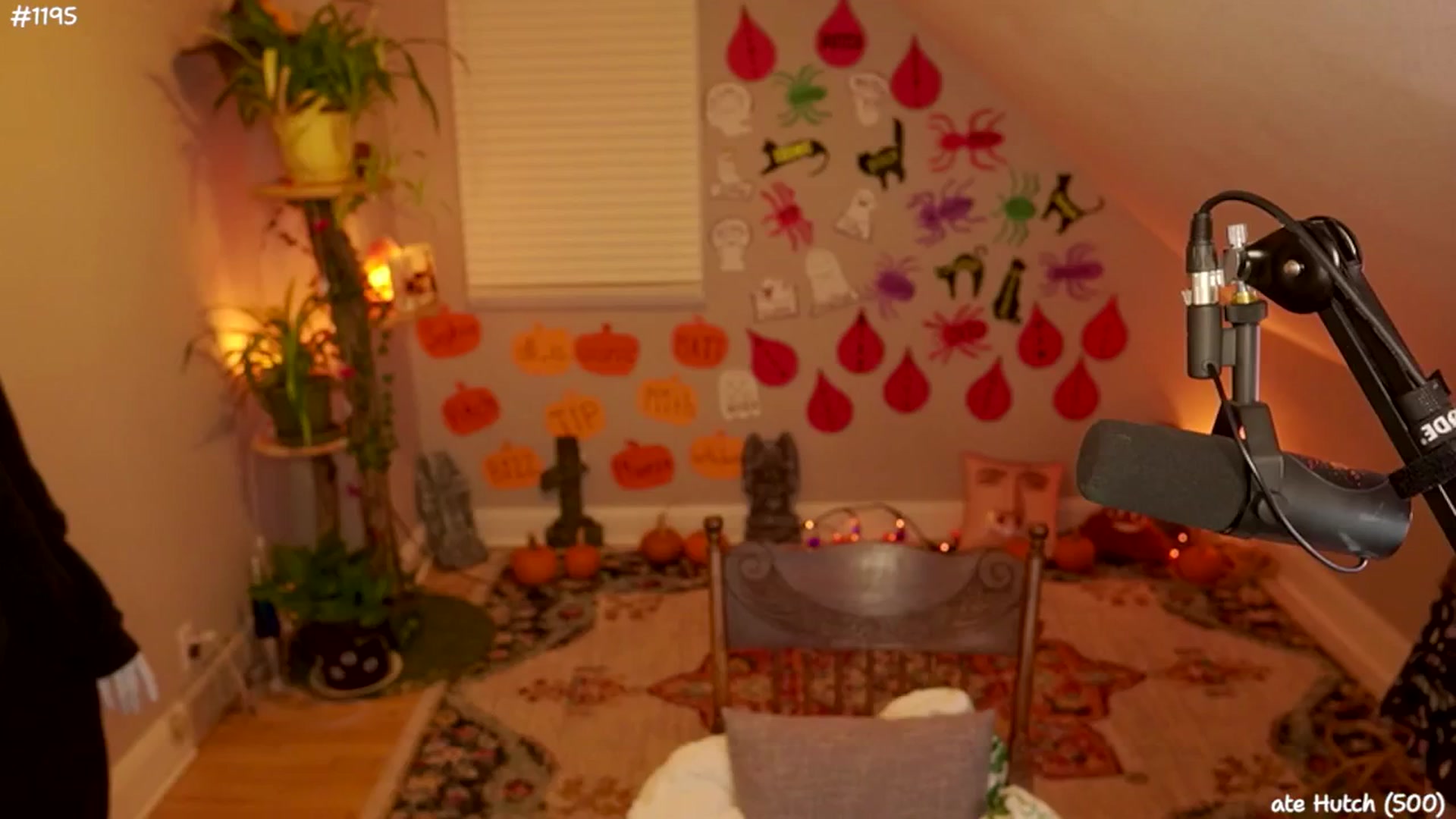 Gallery image thumbnail from NoSophNovembr's myfreecams stream on, 11/12/2024, 05:00 image 17 of 20