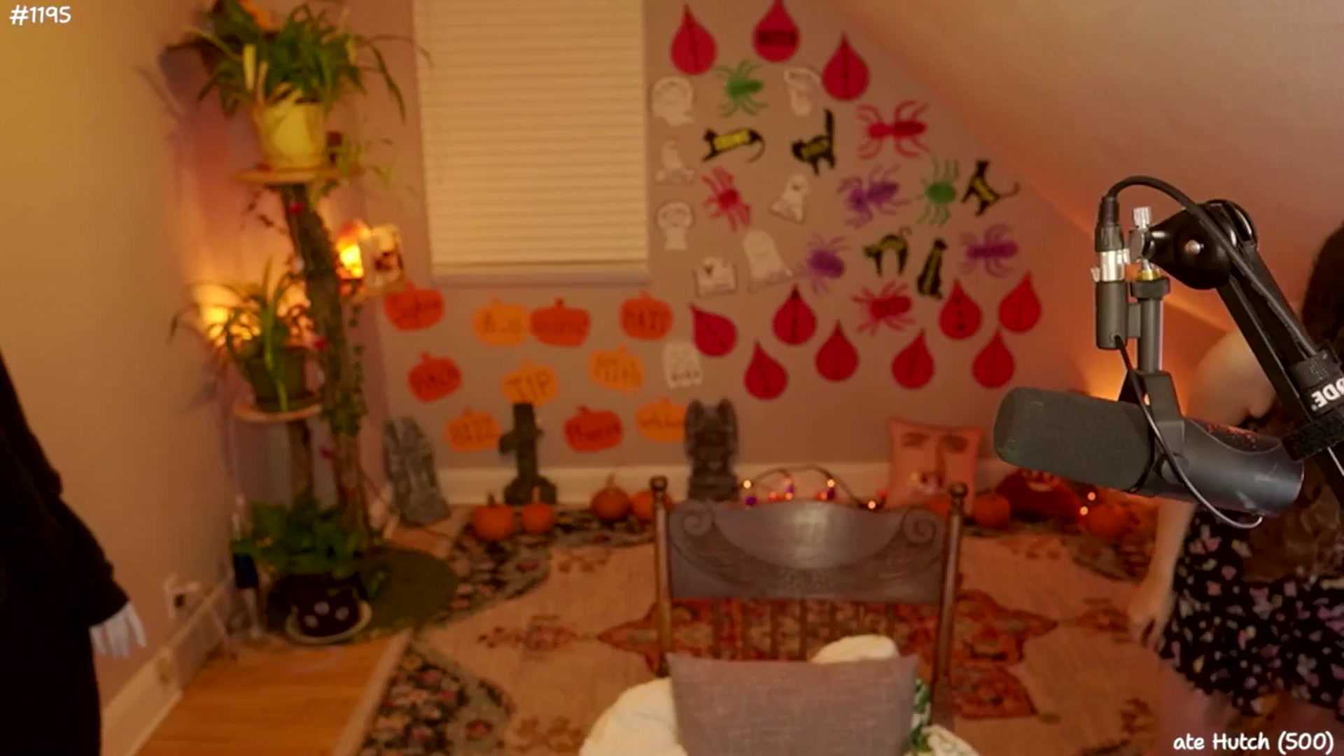 Gallery image thumbnail from NoSophNovembr's myfreecams stream on, 11/12/2024, 05:00 image 16 of 20