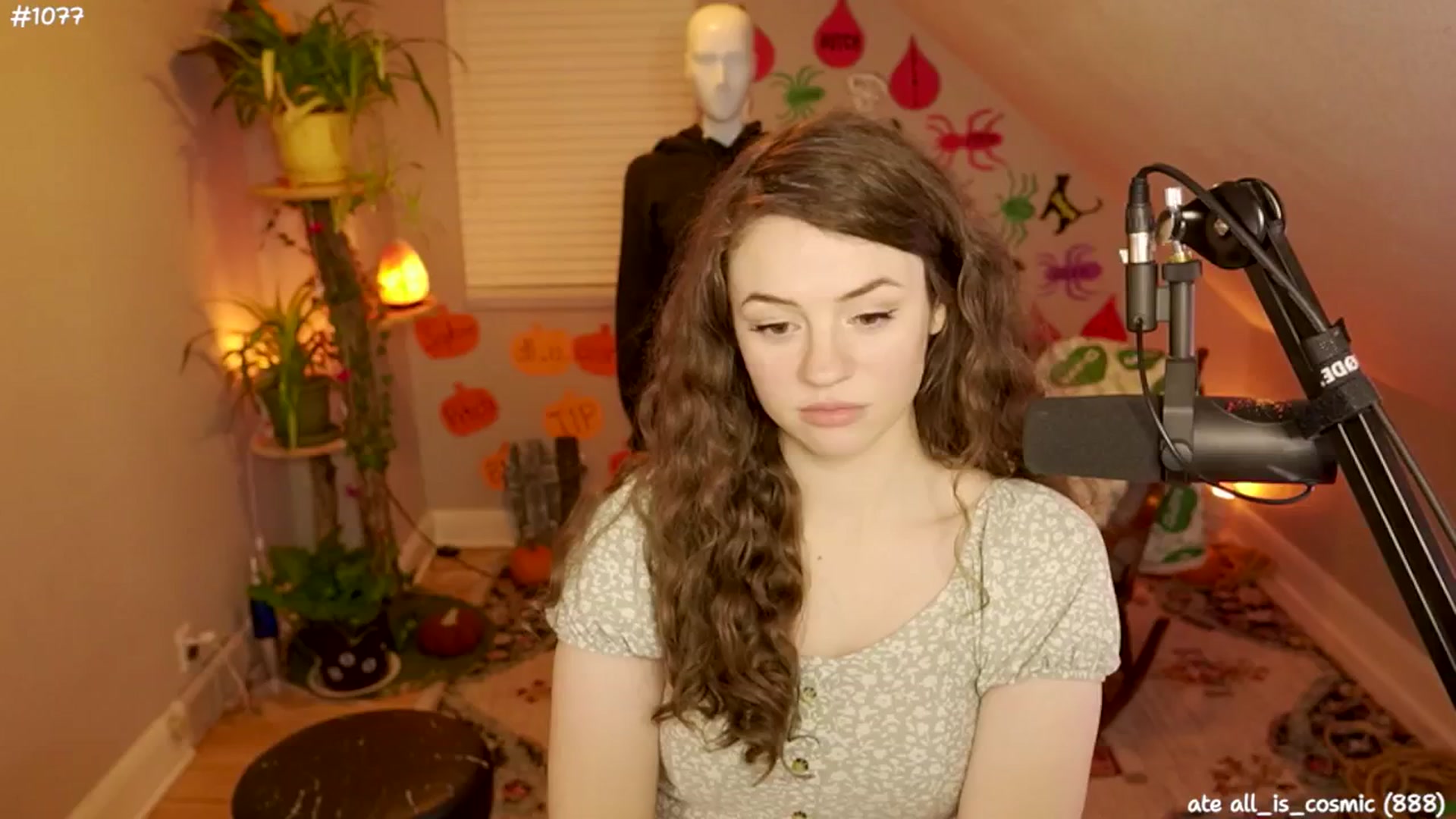Gallery image thumbnail from NoSophNovembr's myfreecams stream on, 11/15/2024, 08:42 image 18 of 20