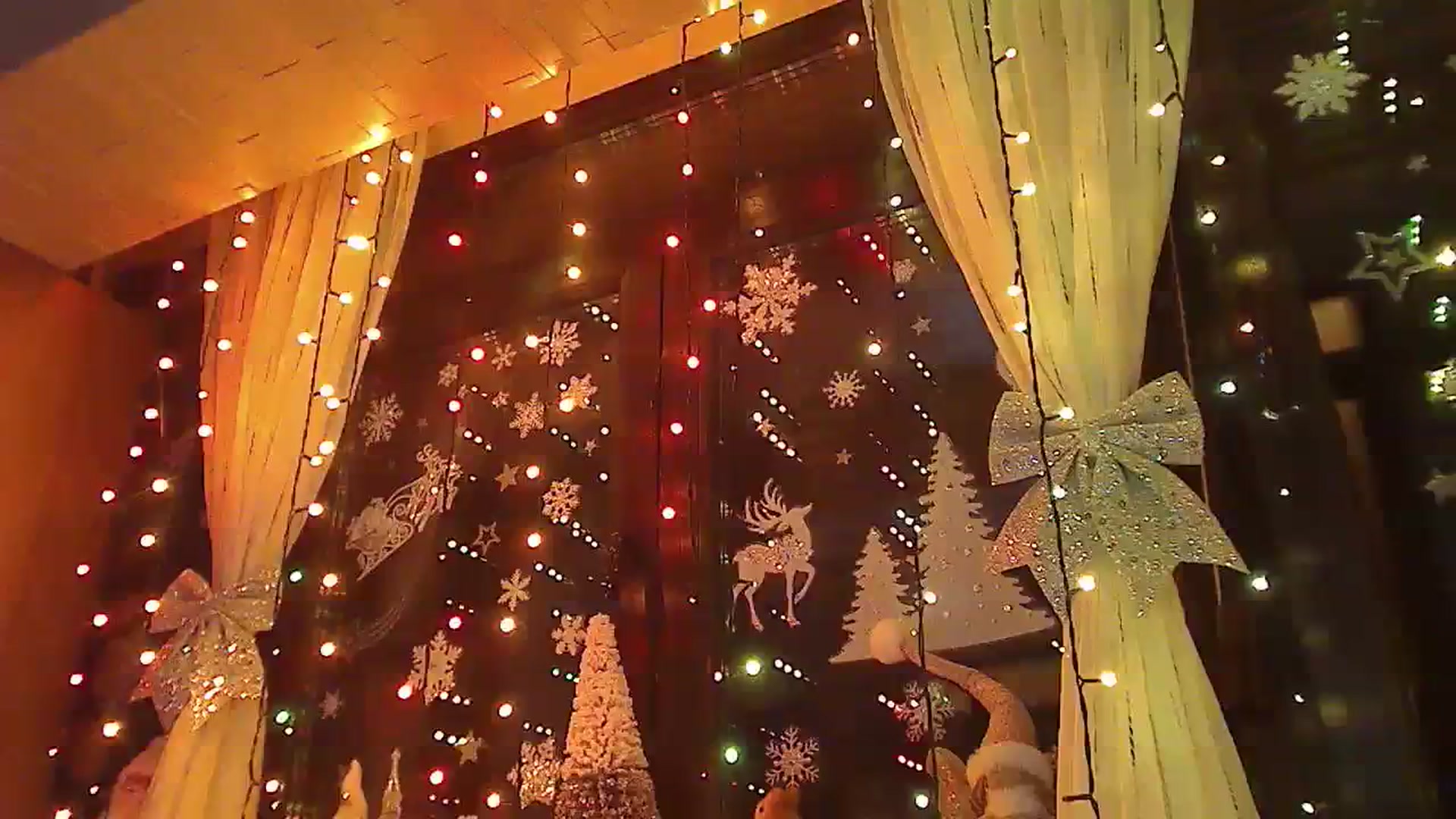 Gallery image thumbnail from No_bo_dy's myfreecams stream on, 12/16/2023, 23:54 image 12 of 20