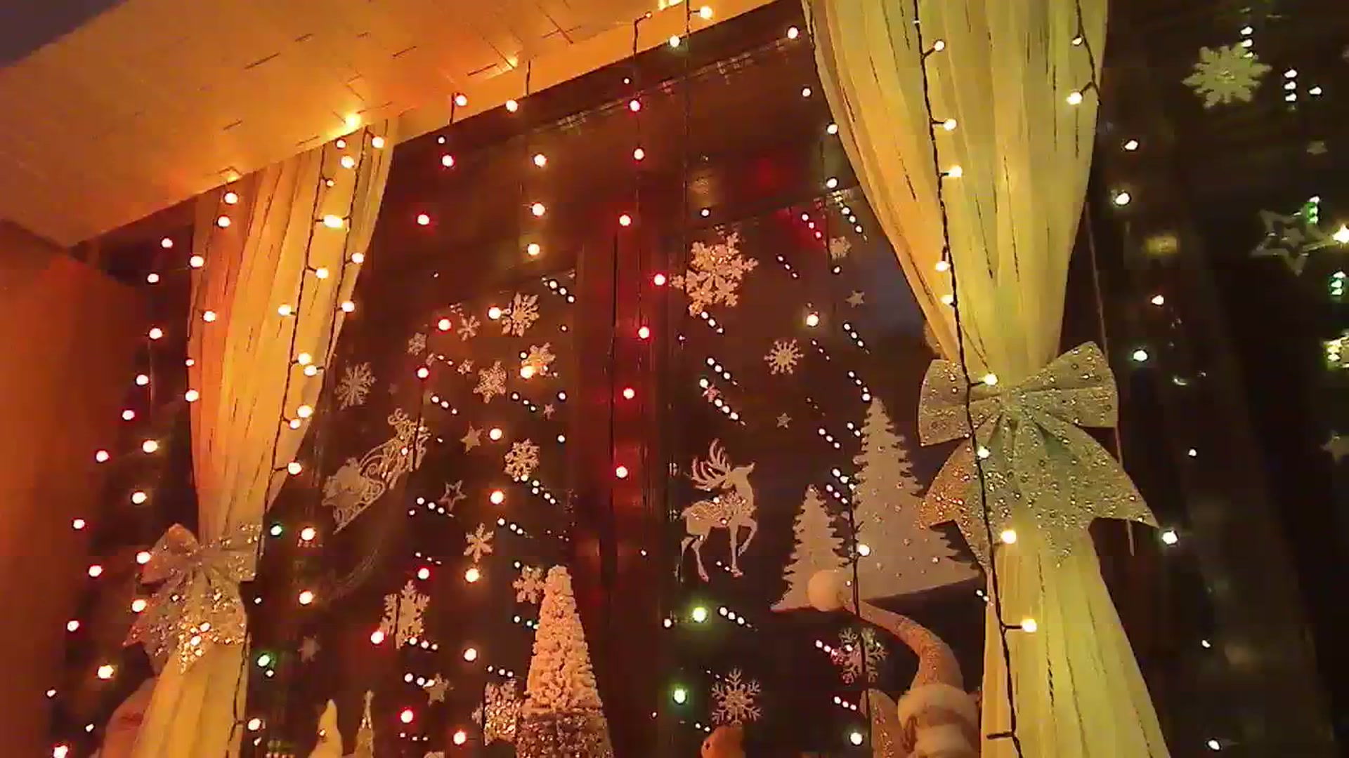 Gallery image thumbnail from No_bo_dy's myfreecams stream on, 12/16/2023, 23:54 image 11 of 20