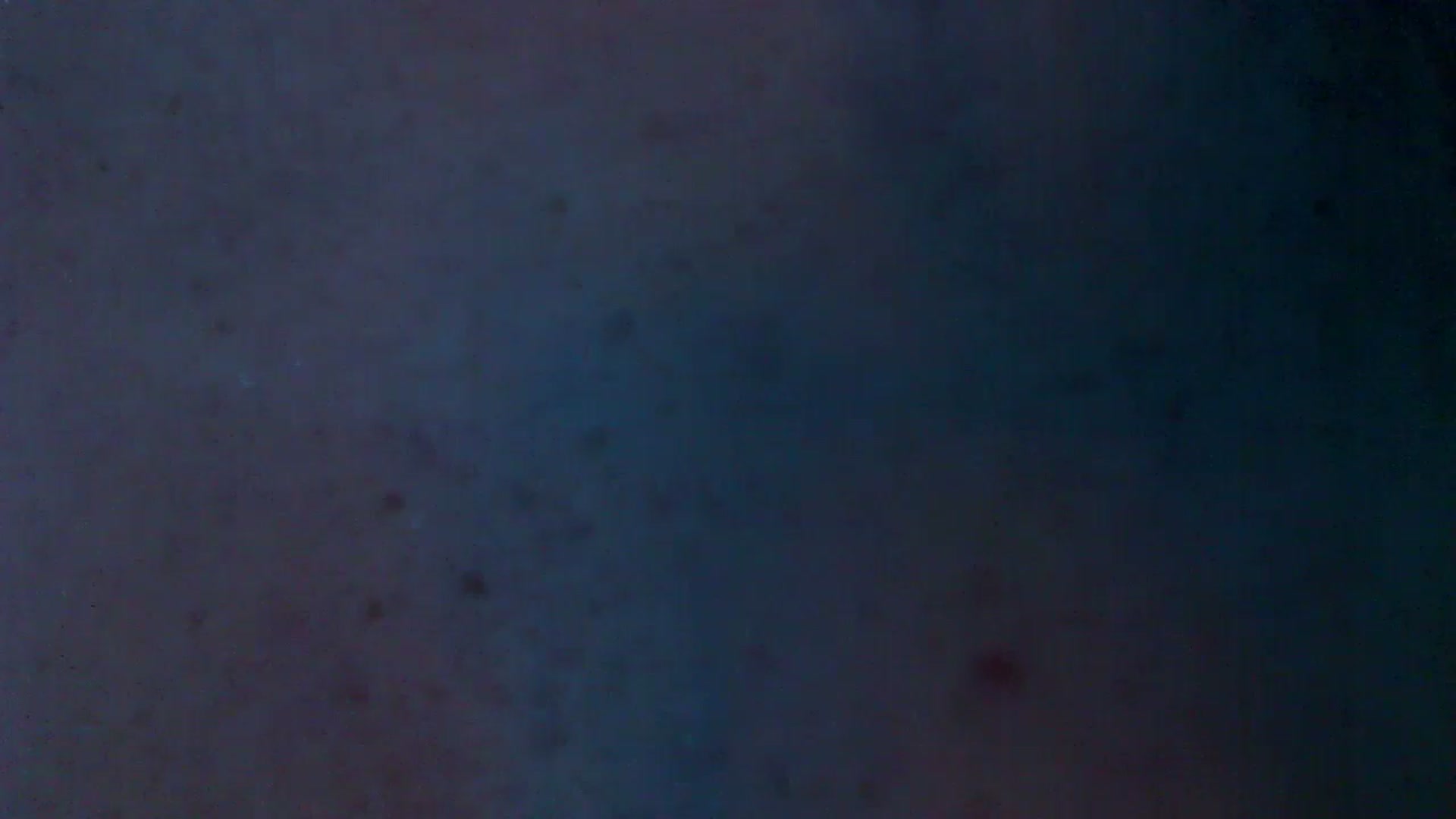 Gallery image thumbnail from No_bo_dy's myfreecams stream on, 07/27/2025, 02:08 image 11 of 20